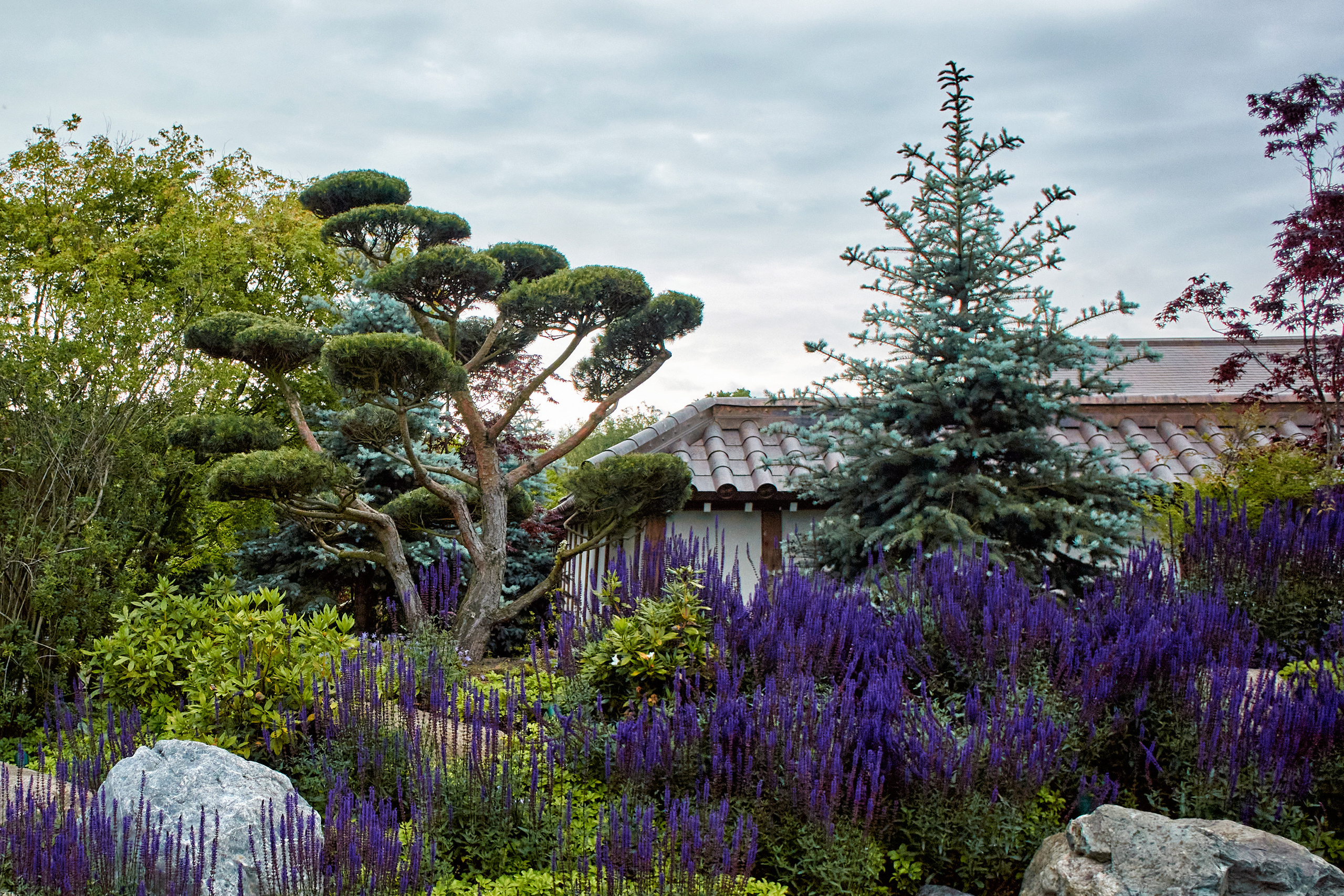 Парк Краснодар, парк Галицкого, Японский парк