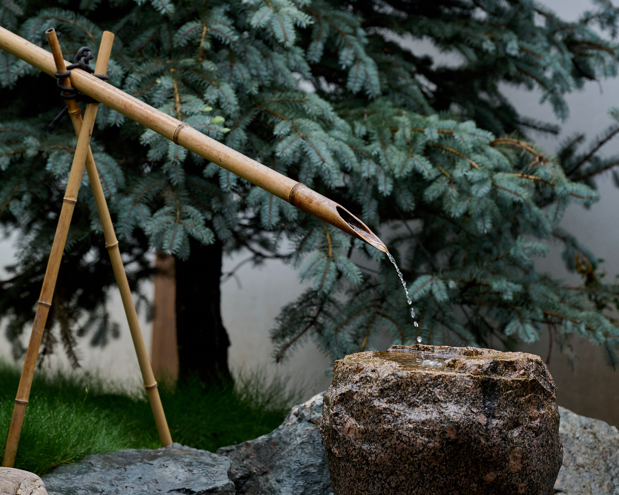 Парк Краснодар, парк Галицкого, Японский парк