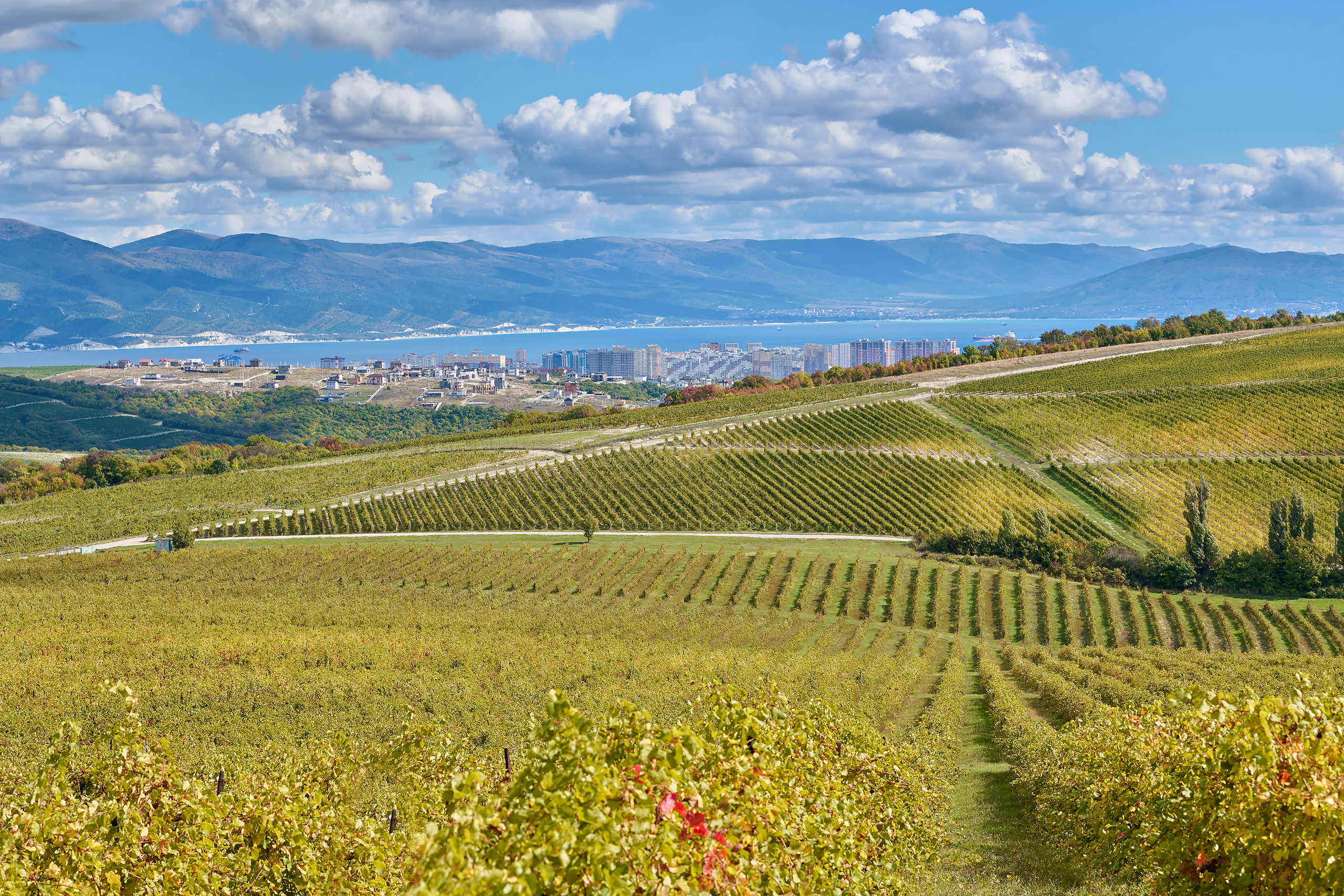 Новороссийск, вид от Федотовки