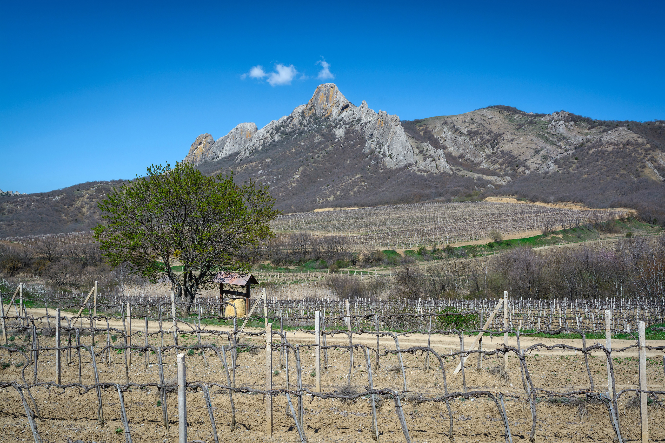 Виноградник с колодцем и горы