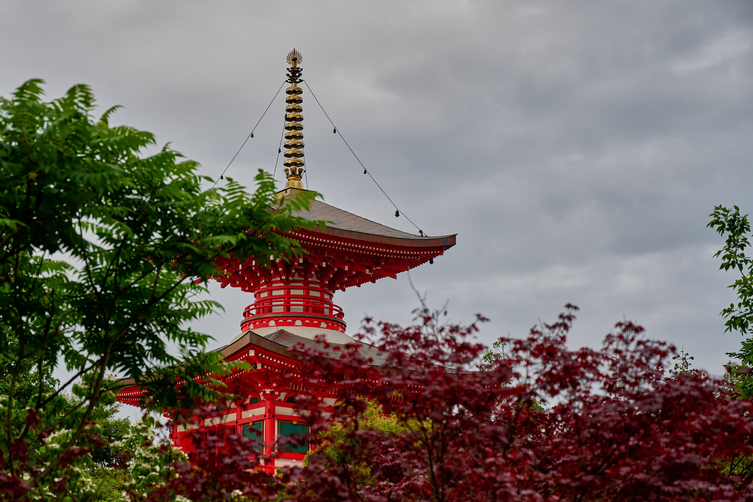 Парк Краснодар, парк Галицкого, Японский парк