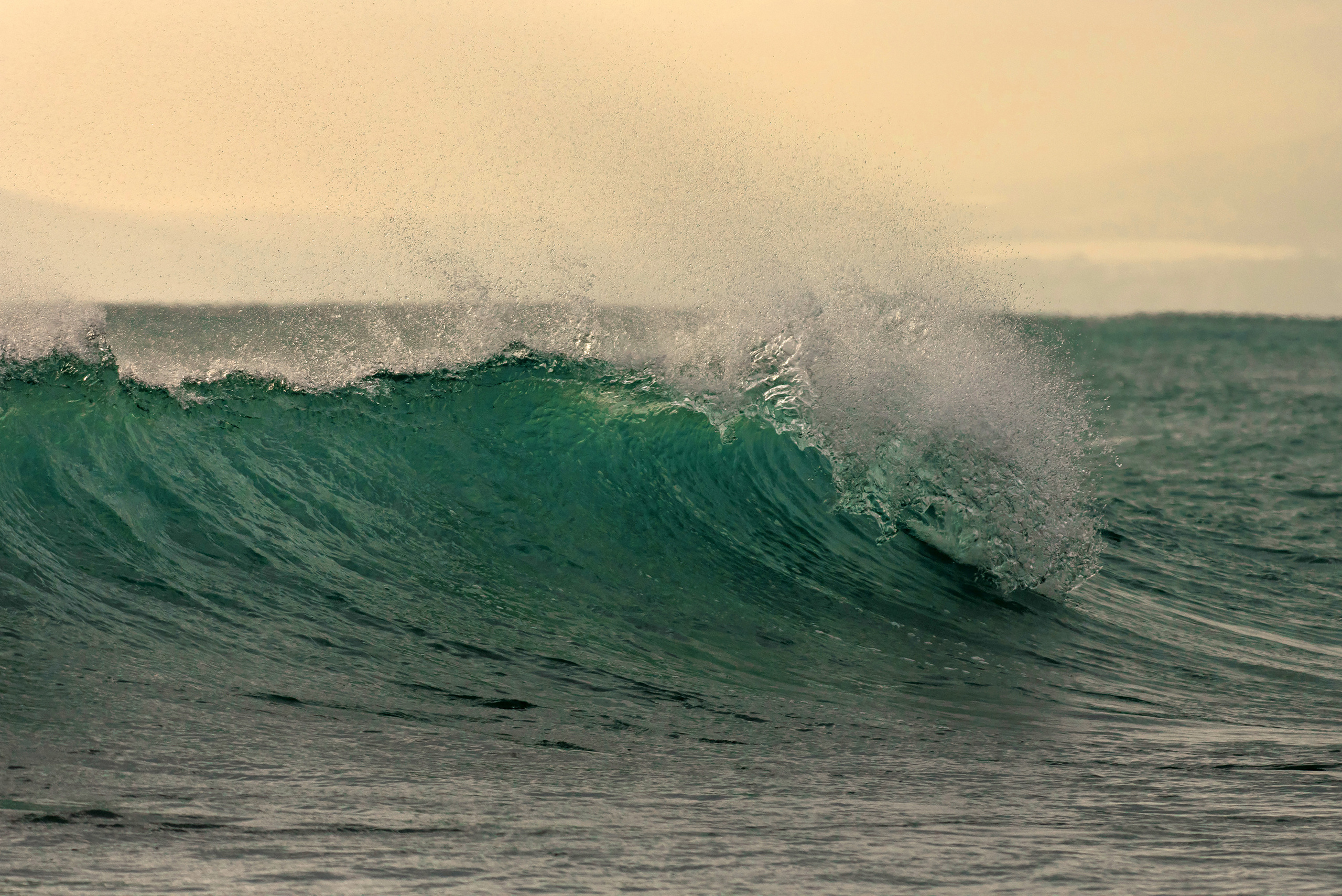 Морская волна с брызгами