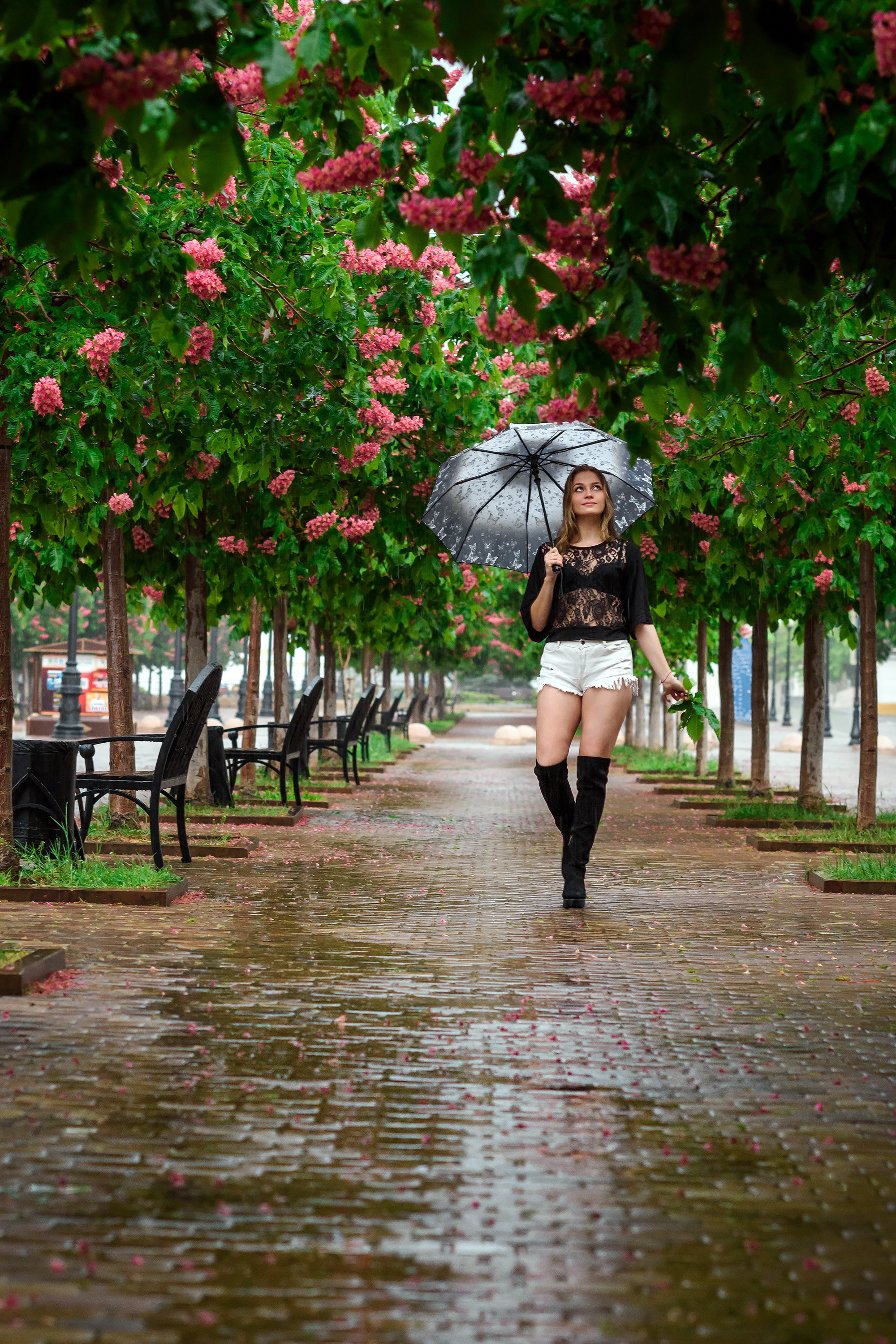 Девушка  с зонтом, гуляющая по аллее в дождь