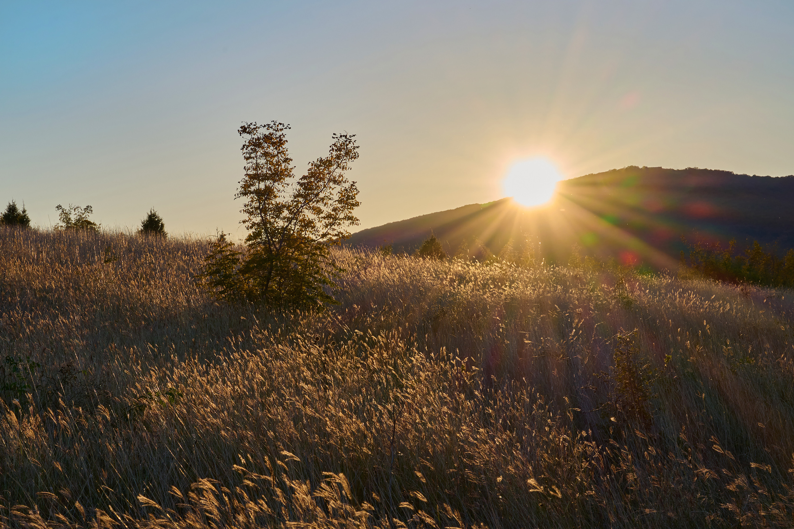Закат на холме