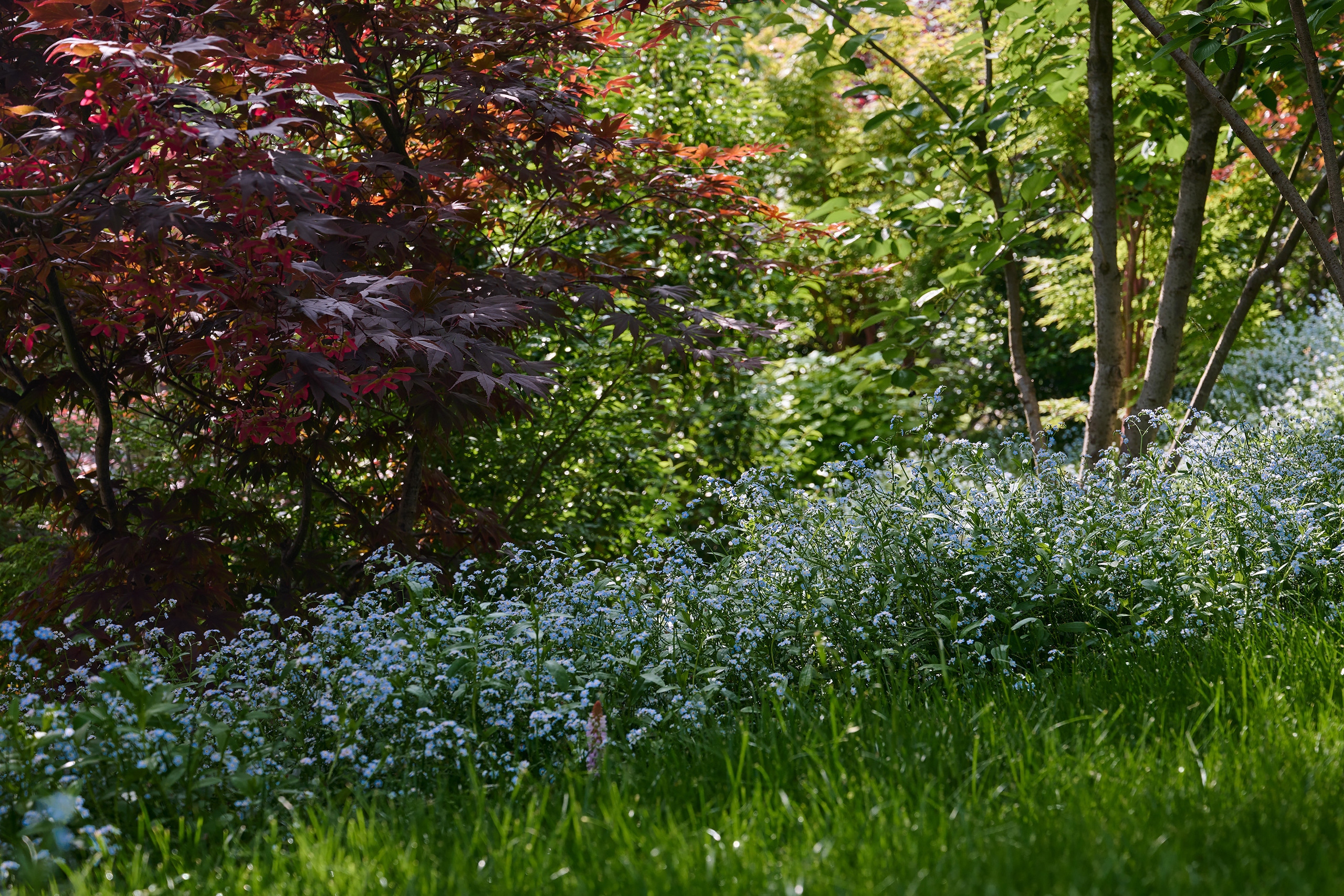 Парк Краснодар и Японский парк. Яркие фото на Чёрном море