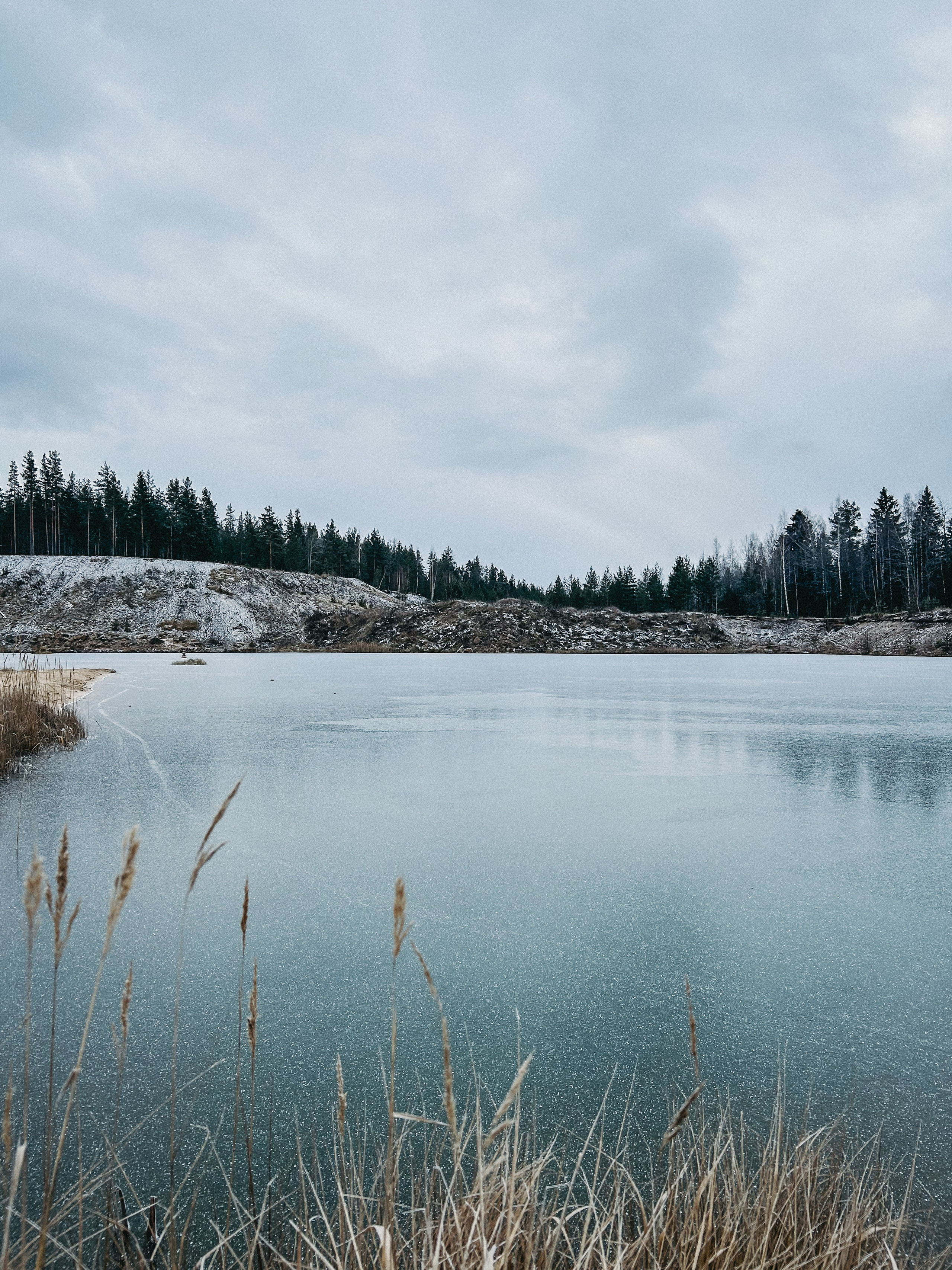 Природа. Фотокружок «Видоискатель» ГБОУ СОШ № 291