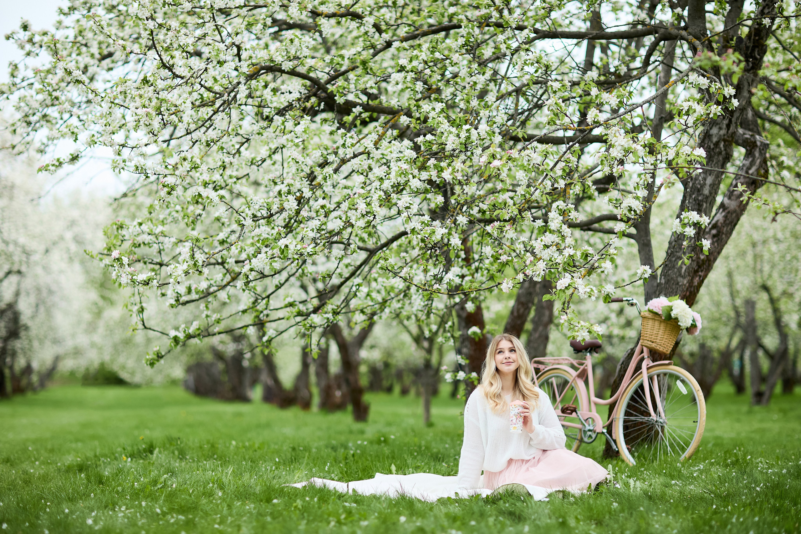 Цветущий сад