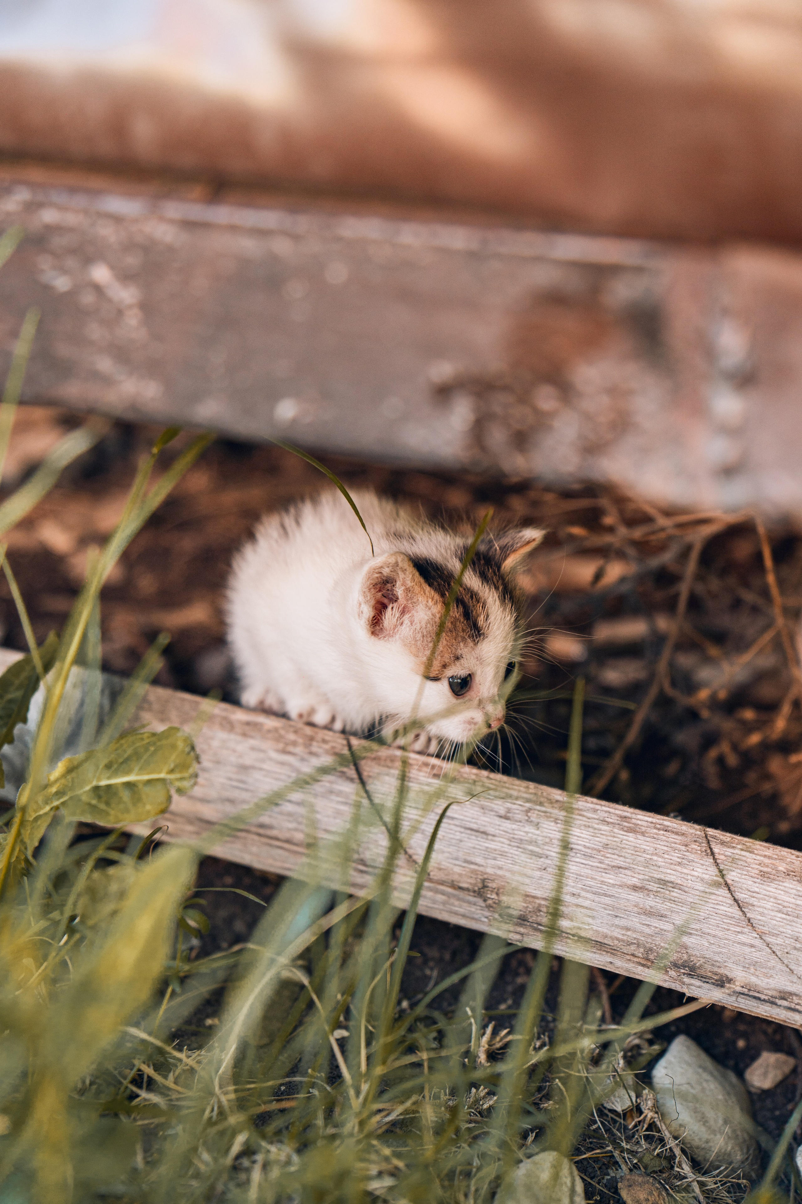 Дагестан. Gusarov Travel Photography