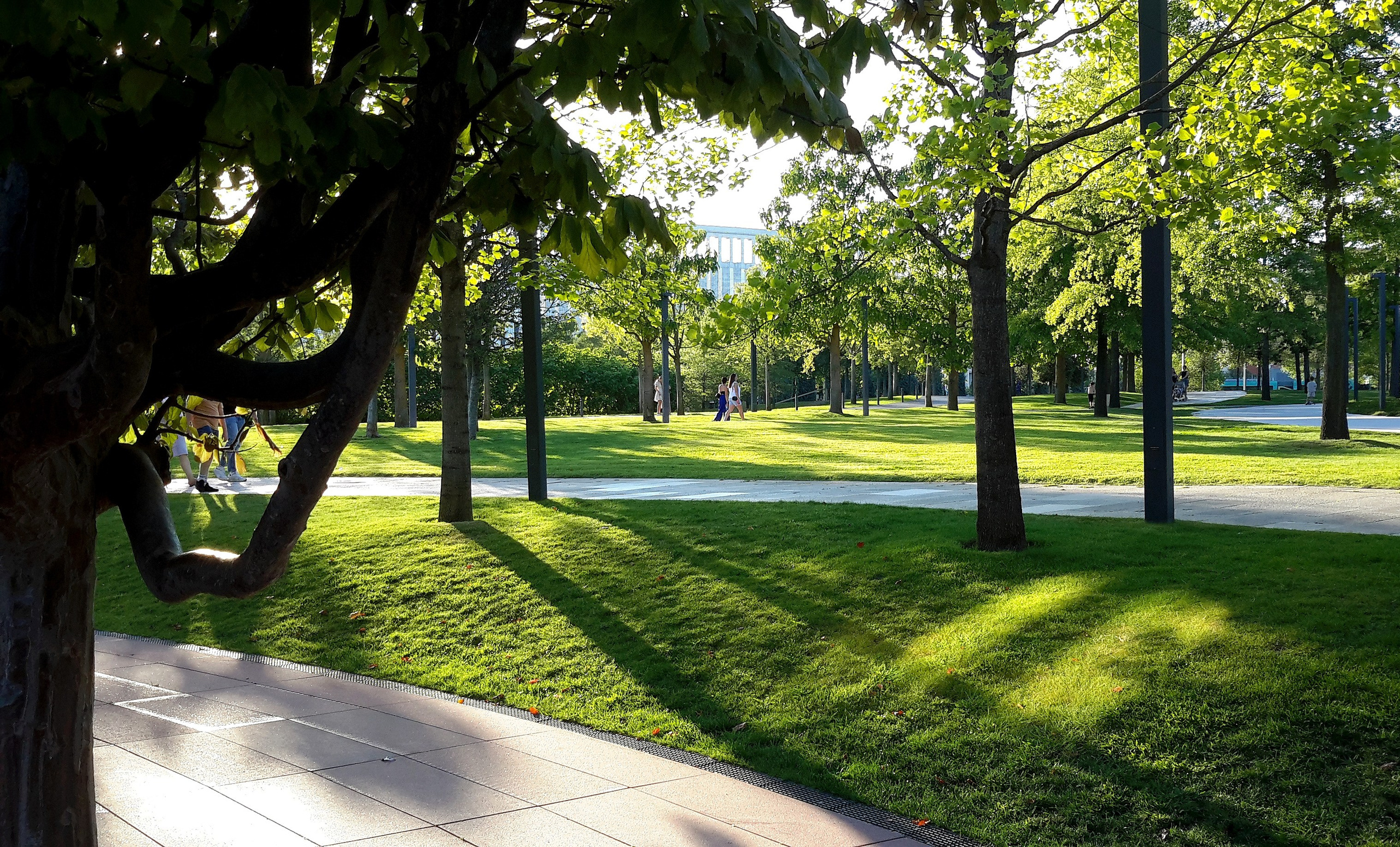 Парк Краснодар (парк Галицкого). Фотограф Славянск на Кубани