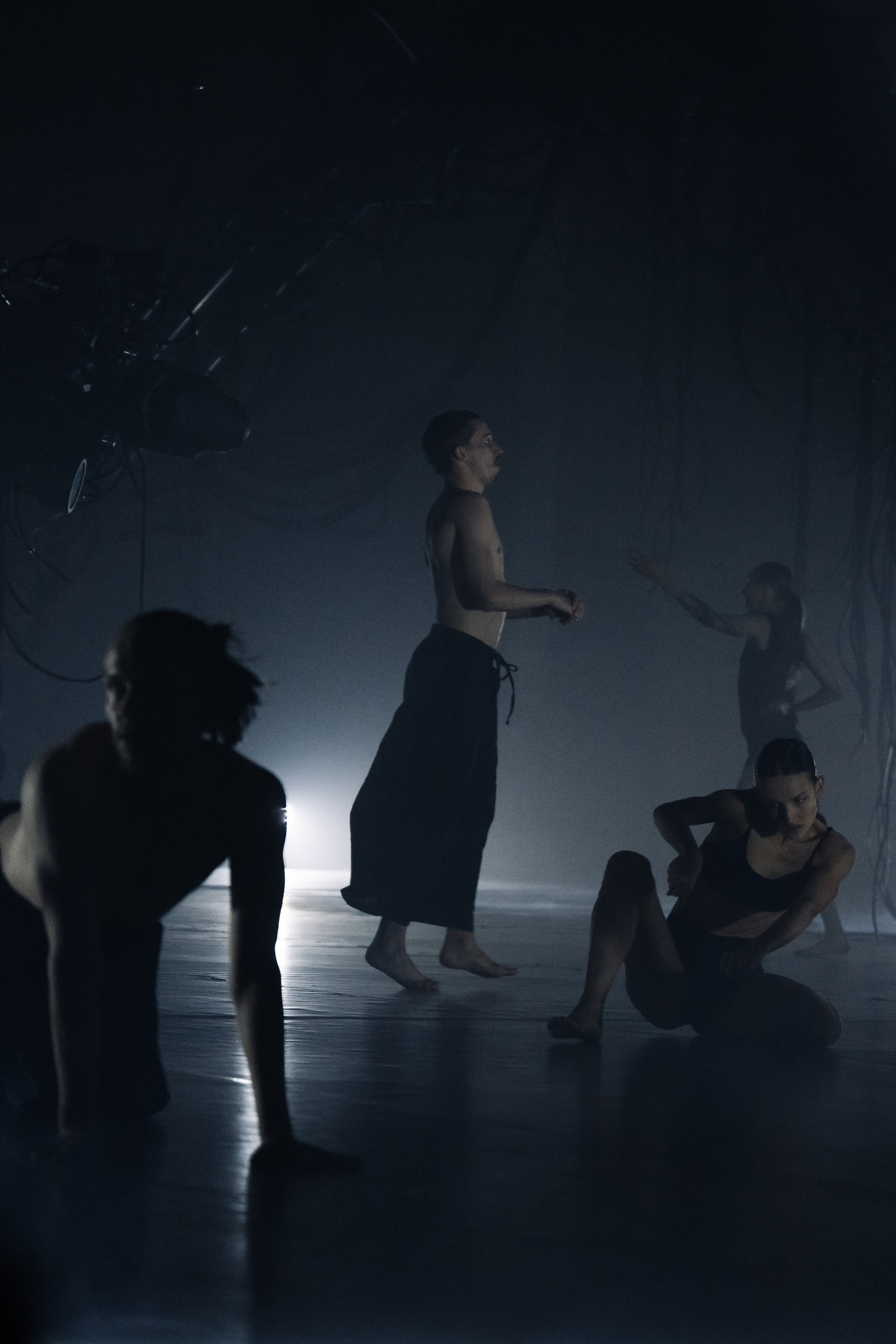 PERFORMA, The Hour of the Horse. @tomrus: Рустам Шагиморданов — фотограф