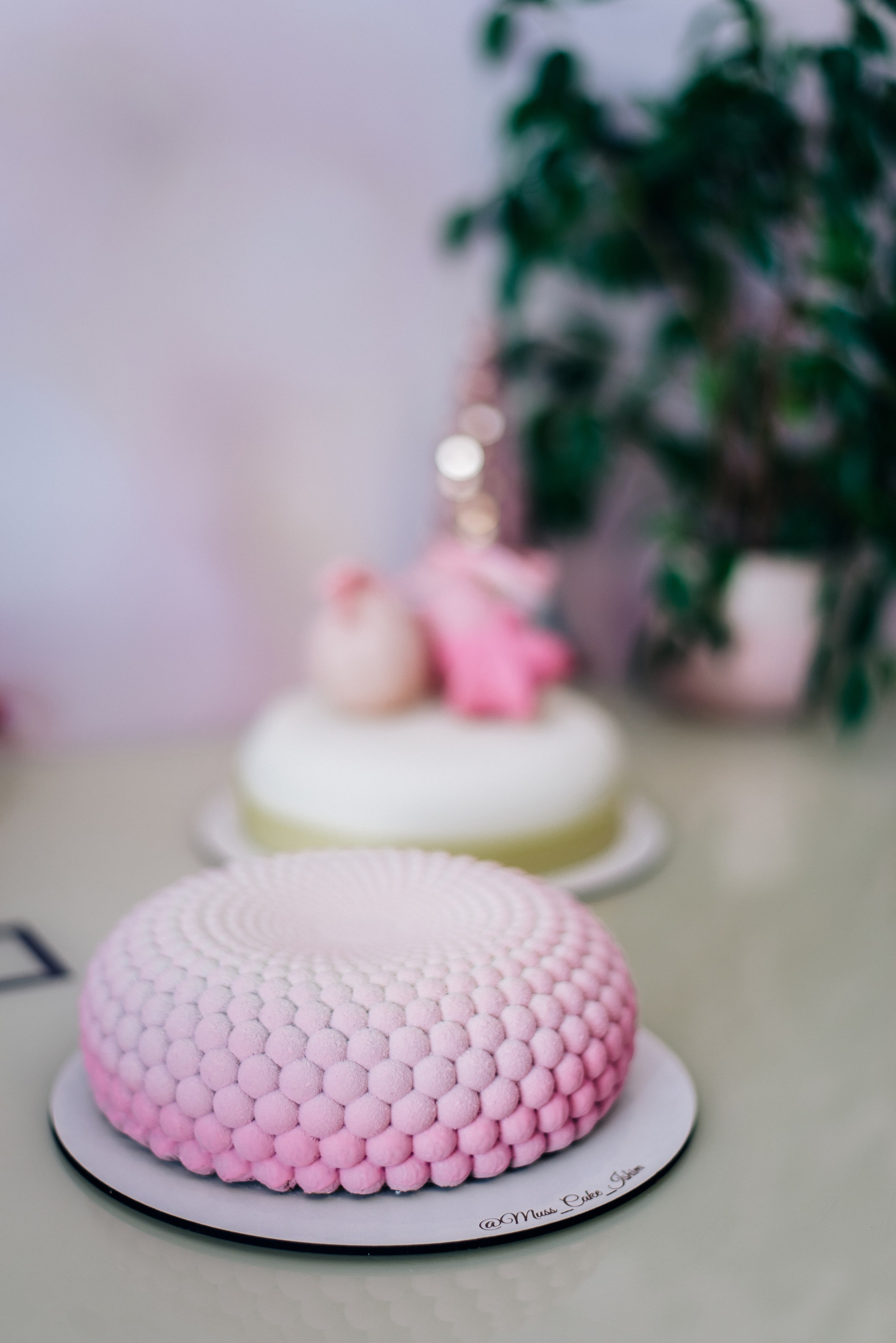 Кондитер. Фотограф — МАРИЯ МЕДВЕДЕВА