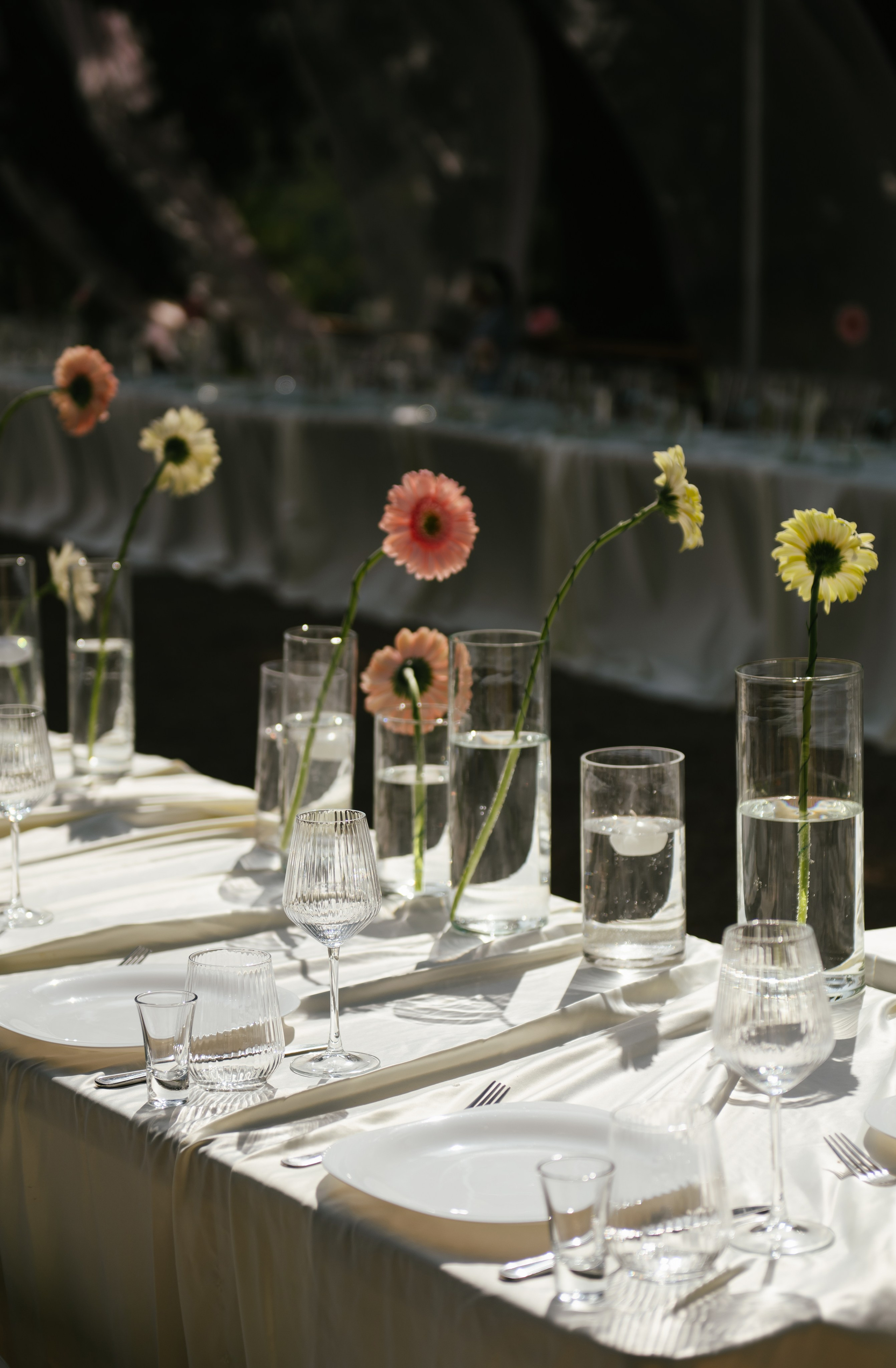 Никита и Настя (Серебряное озеро). Свадебный, женский, семейный фотограф в Севастополе Юлия Мошенко