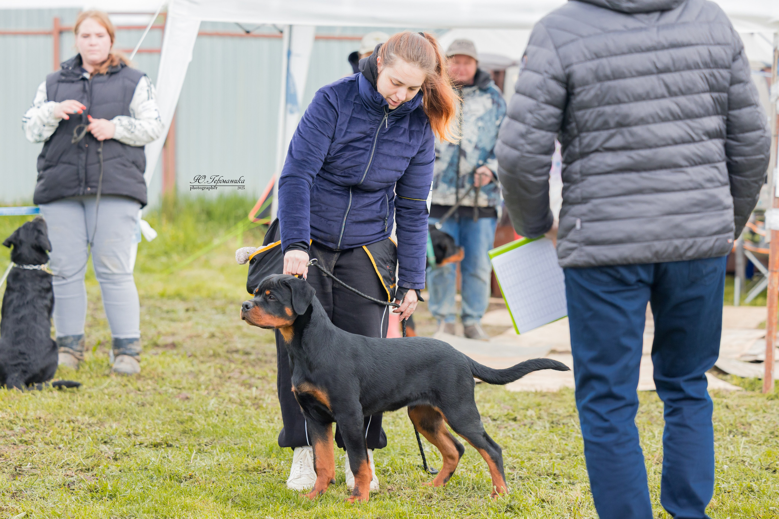 Нижний Новгород 2хмоно ротвейлеров 10-11.05.2025. Фотограф-анималист Юлия Германика