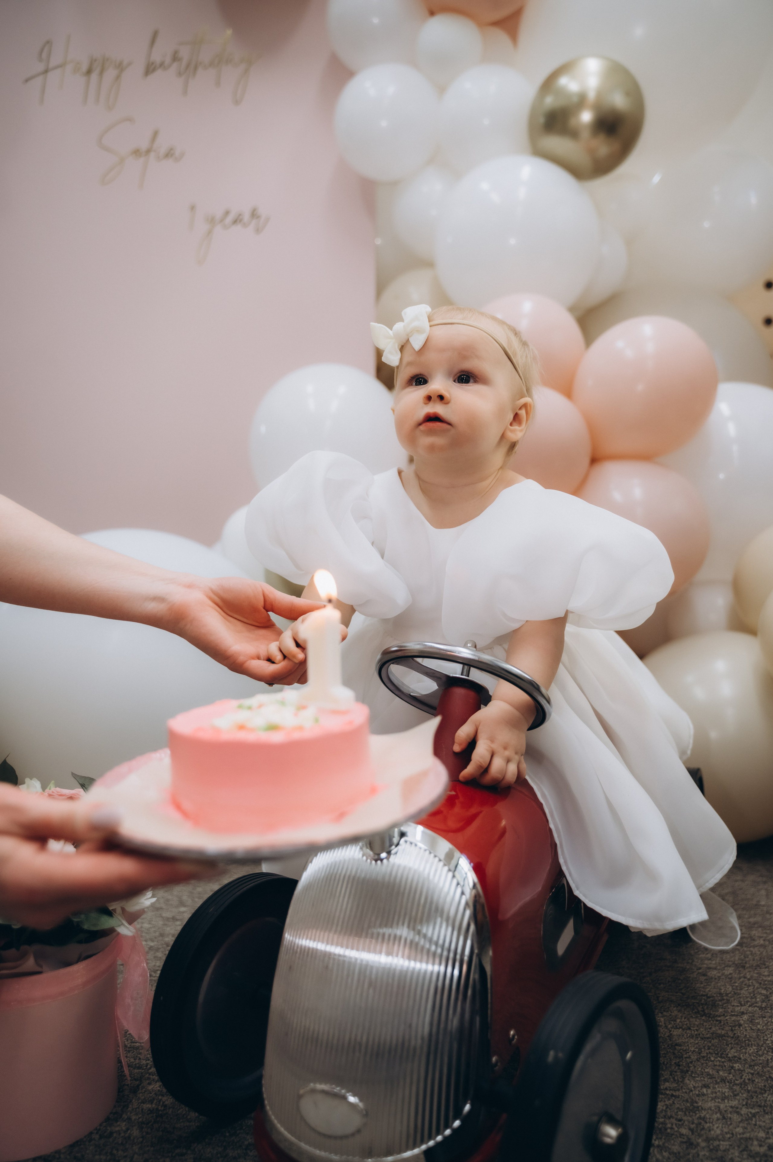 День Рождение Софии в Пуговке. Семейный фотограф в Минске Дарья Дреко