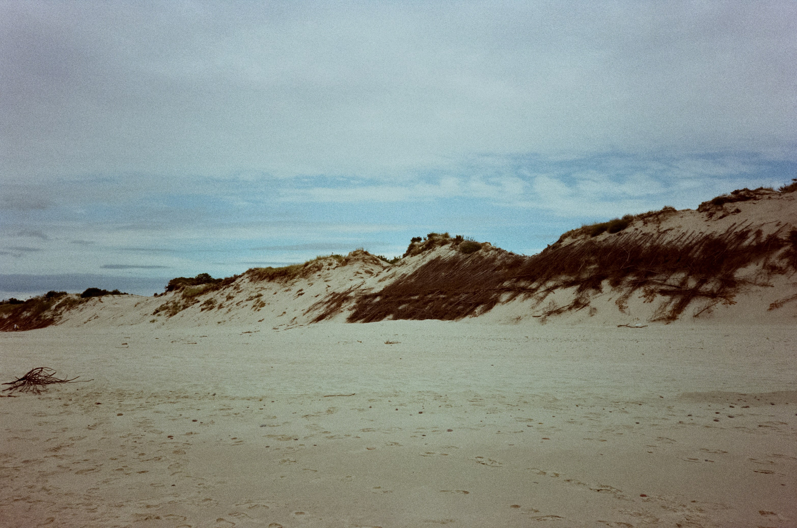 Куршская коса и Куршский залив. Море и дюны. Фотограф-документалист Мария Осокина