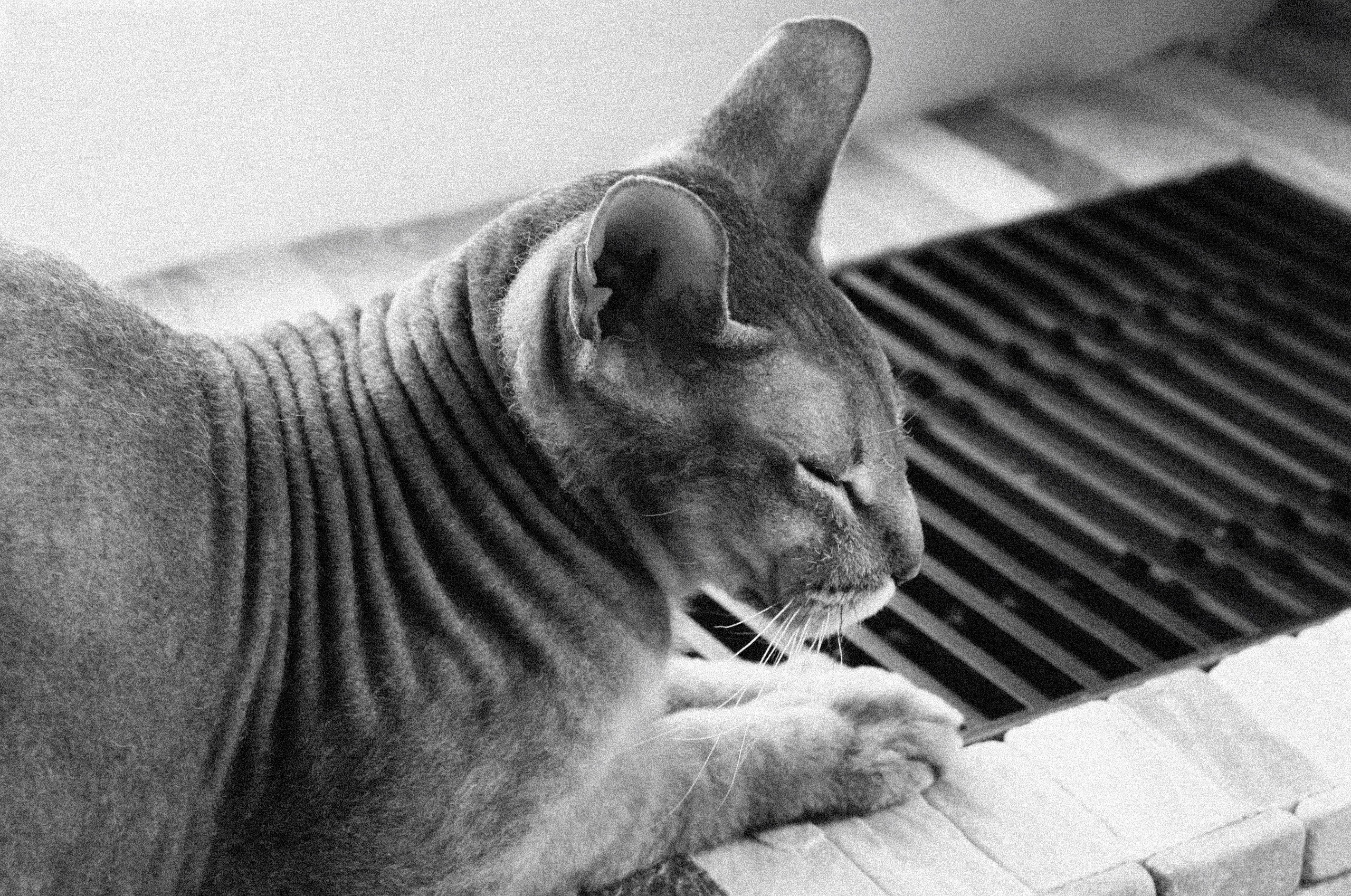 Творчество. Фотограф в Москве Черниговцева Анастасия