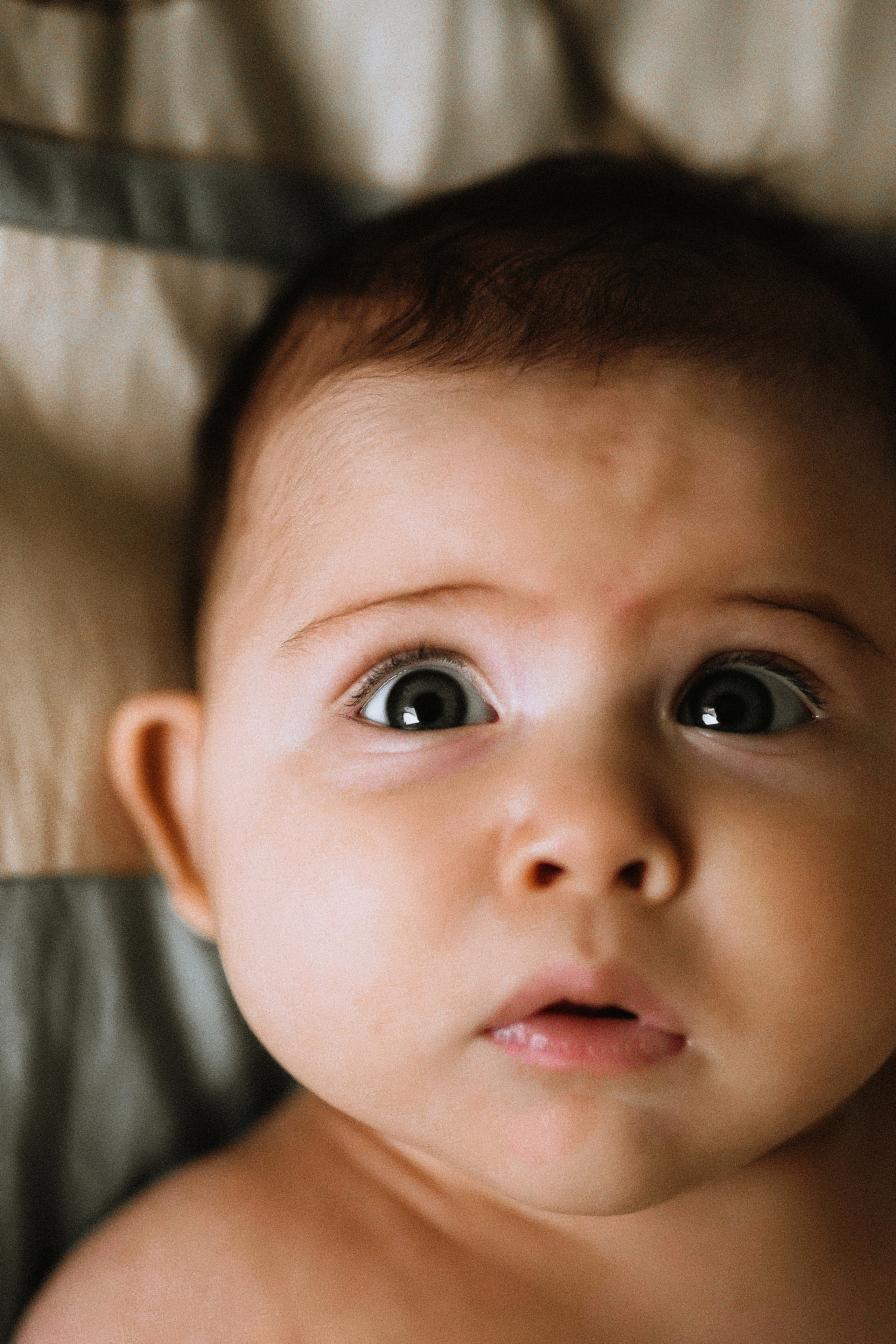 Family. Портретный и свадебный фотограф-видеограф в СПб Виктория Фролова