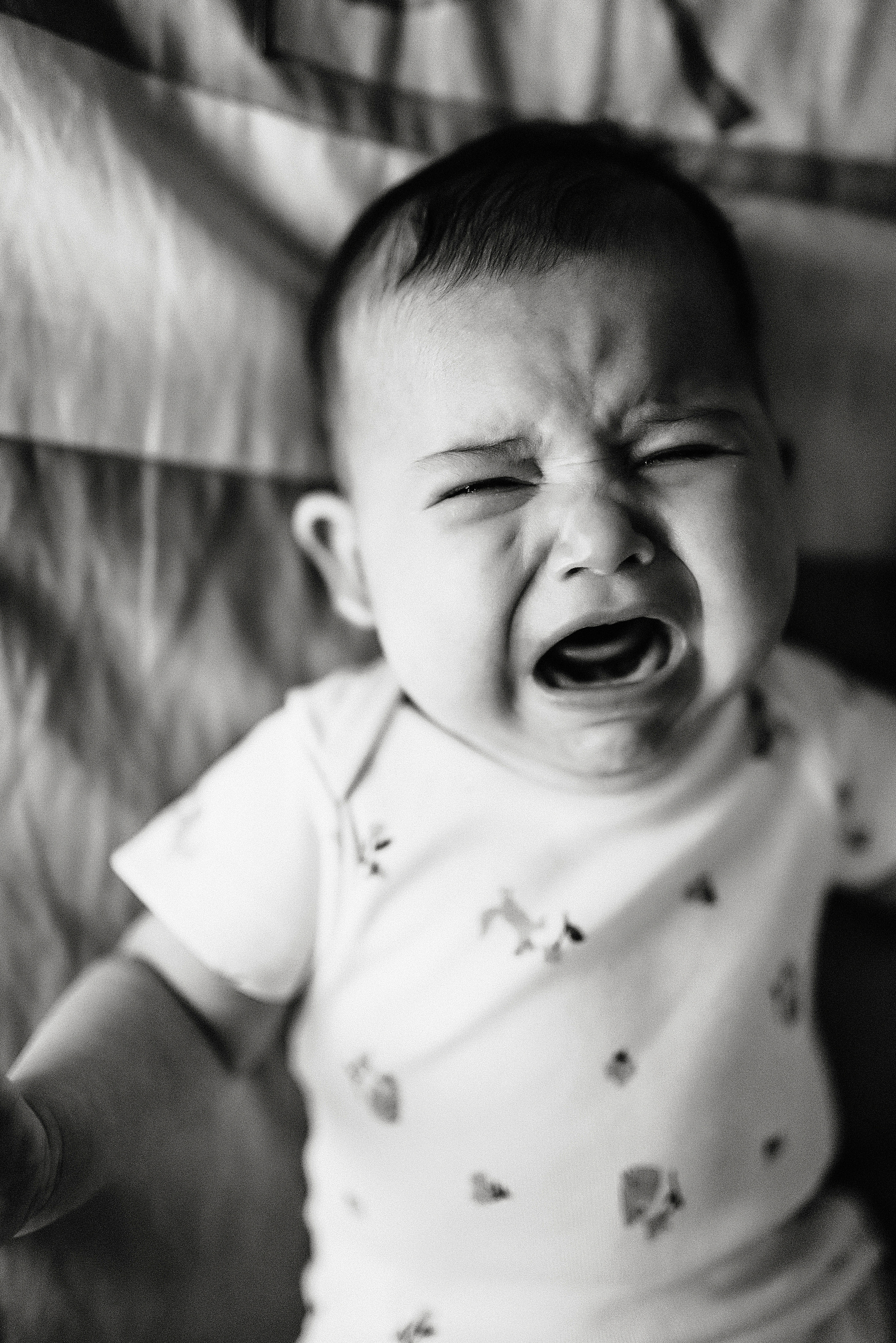 Family. Портретный и свадебный фотограф-видеограф в СПб Виктория Фролова