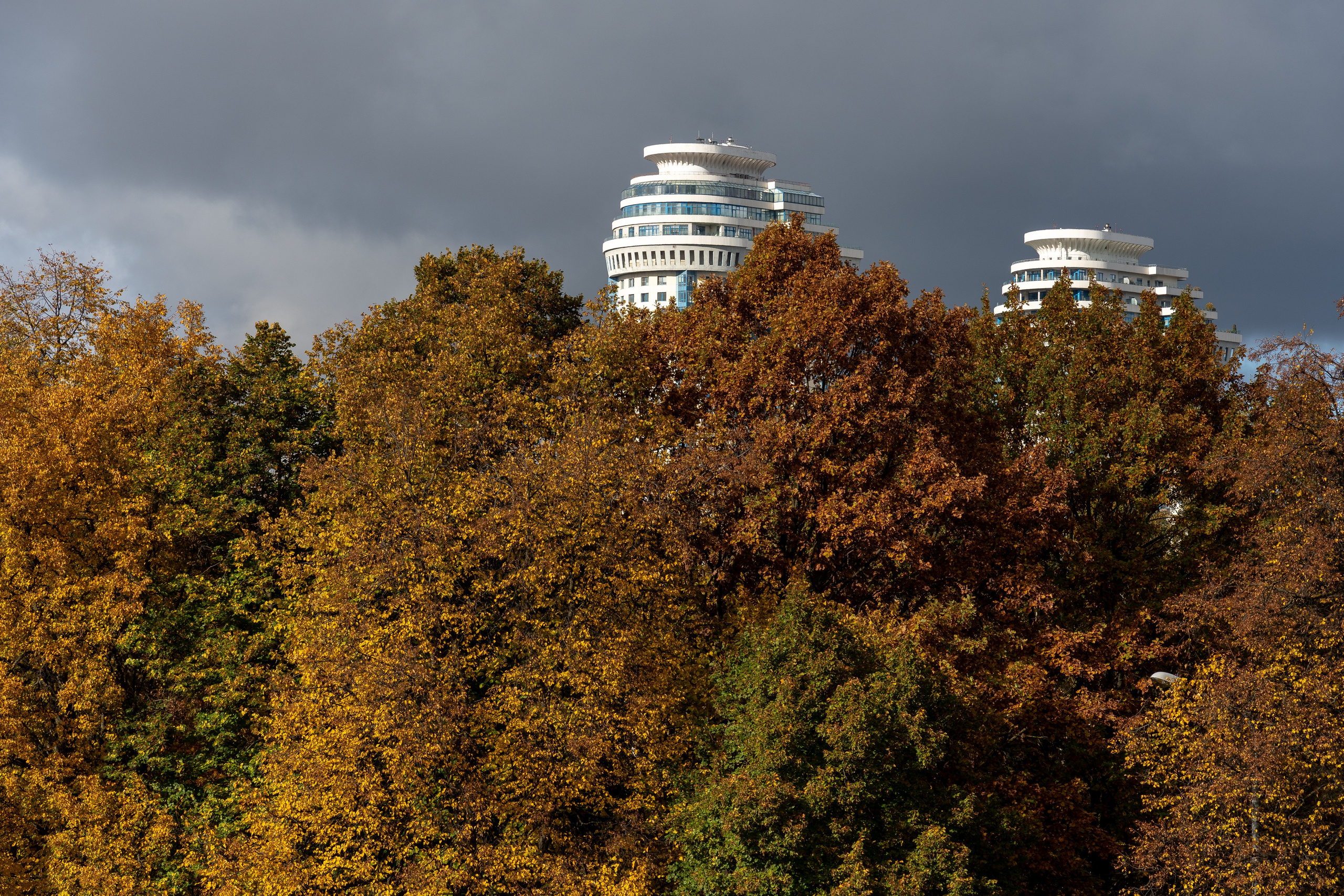 20251012 МГУ. Дмитрий Ремизов. Фотография, как хобби
