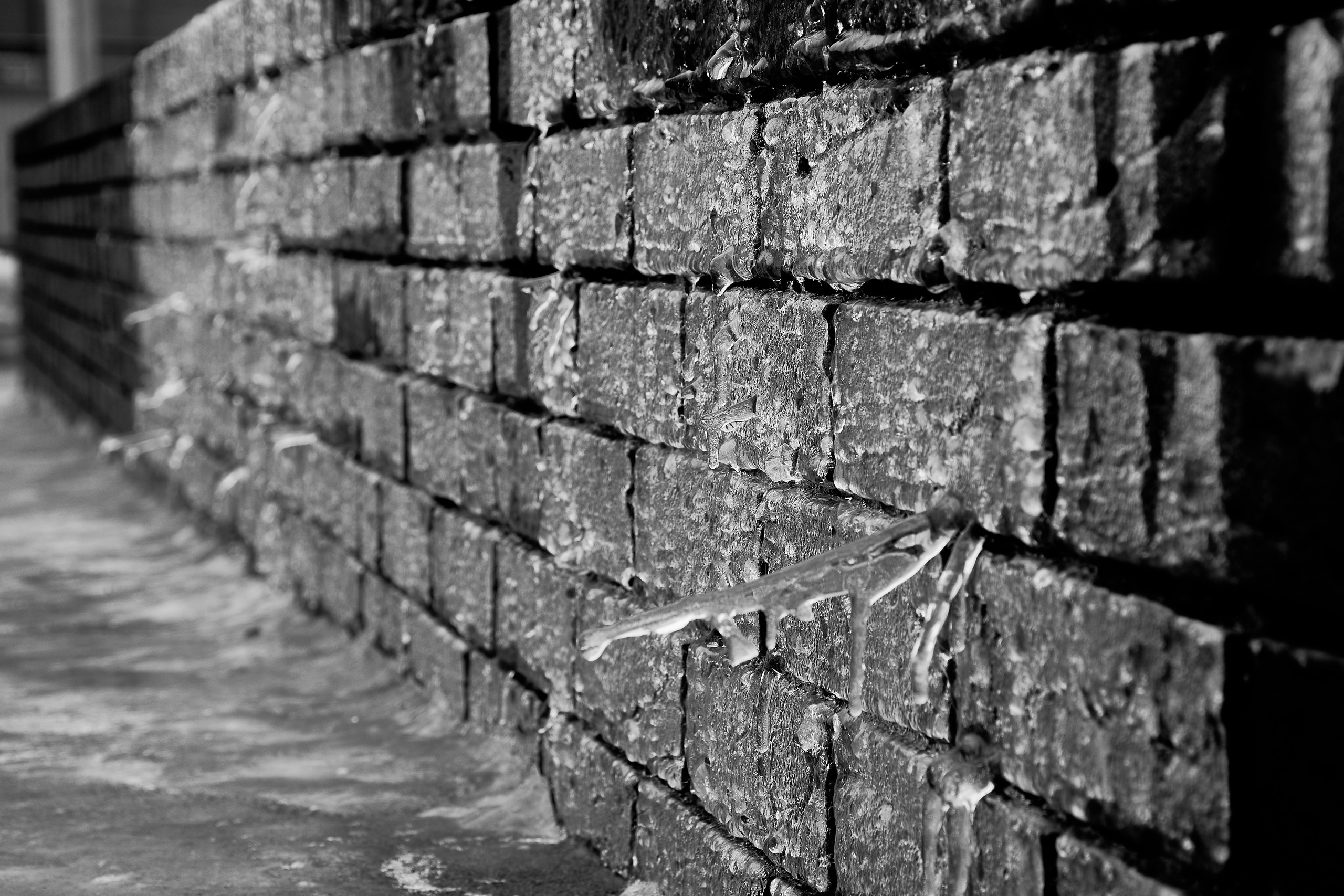 Дмитрий Ремизов. Фотография, как хобби