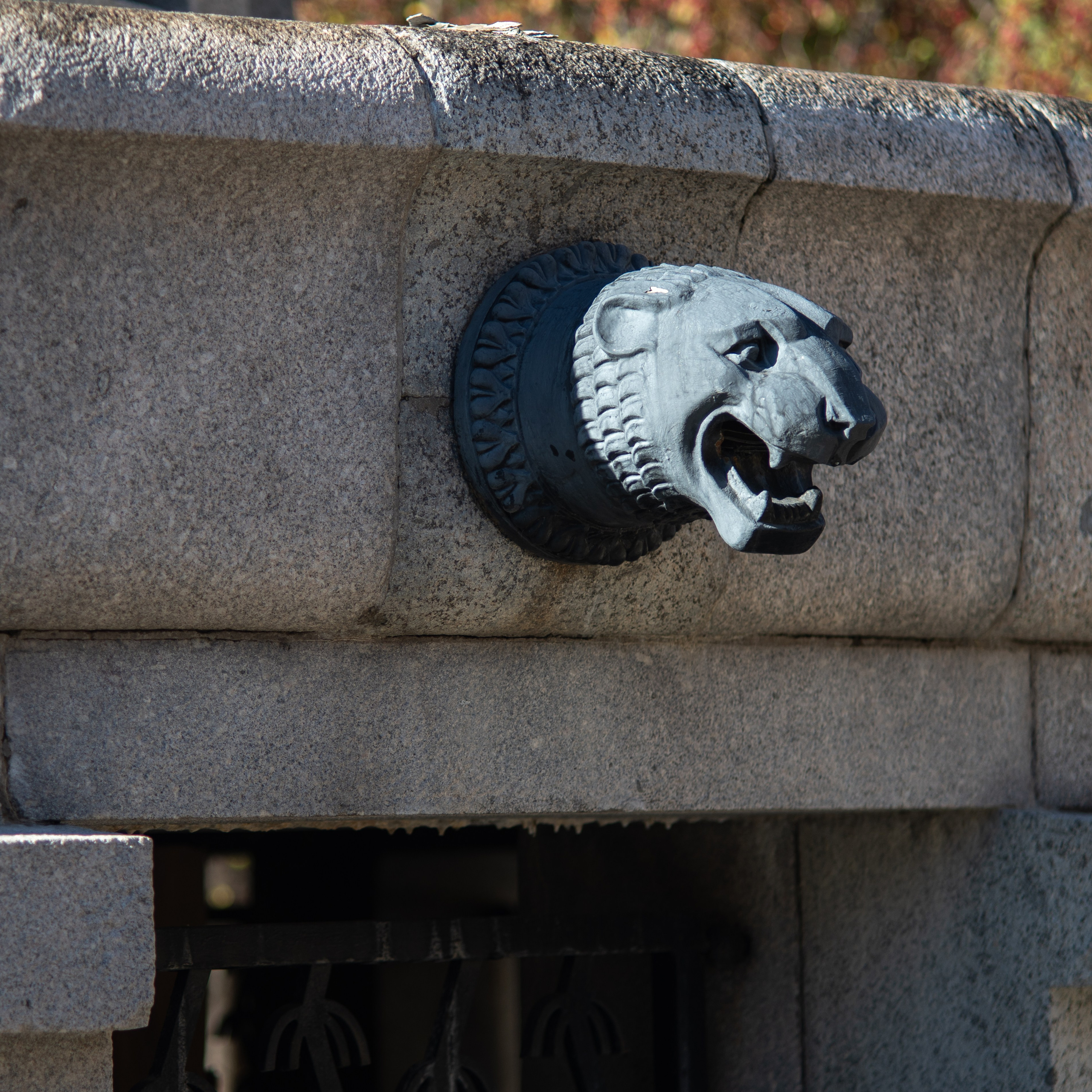 20251012 МГУ. Дмитрий Ремизов. Фотография, как хобби