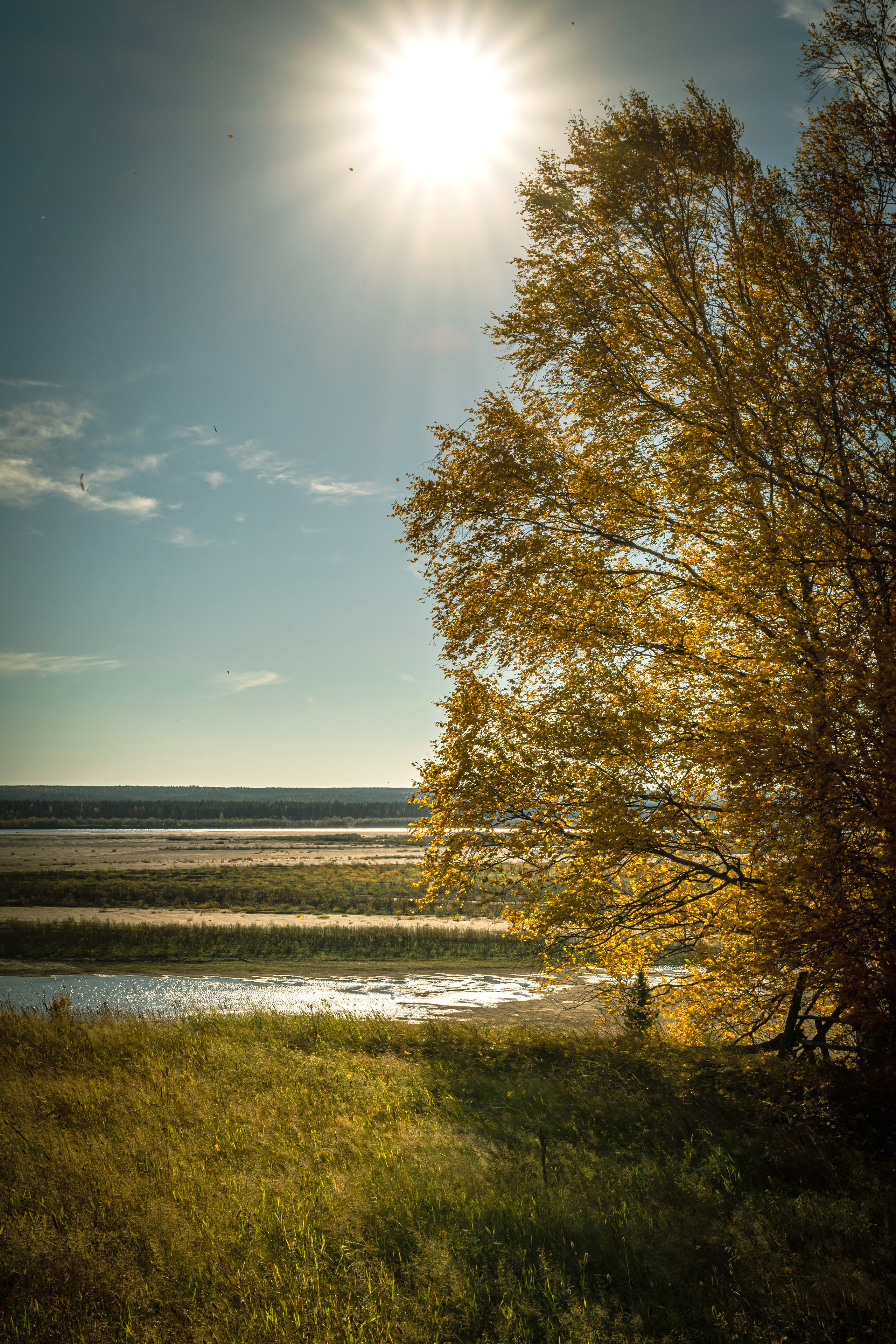 Осень. Фотограф в с. Ижма Республика Коми Терентьев Сергей