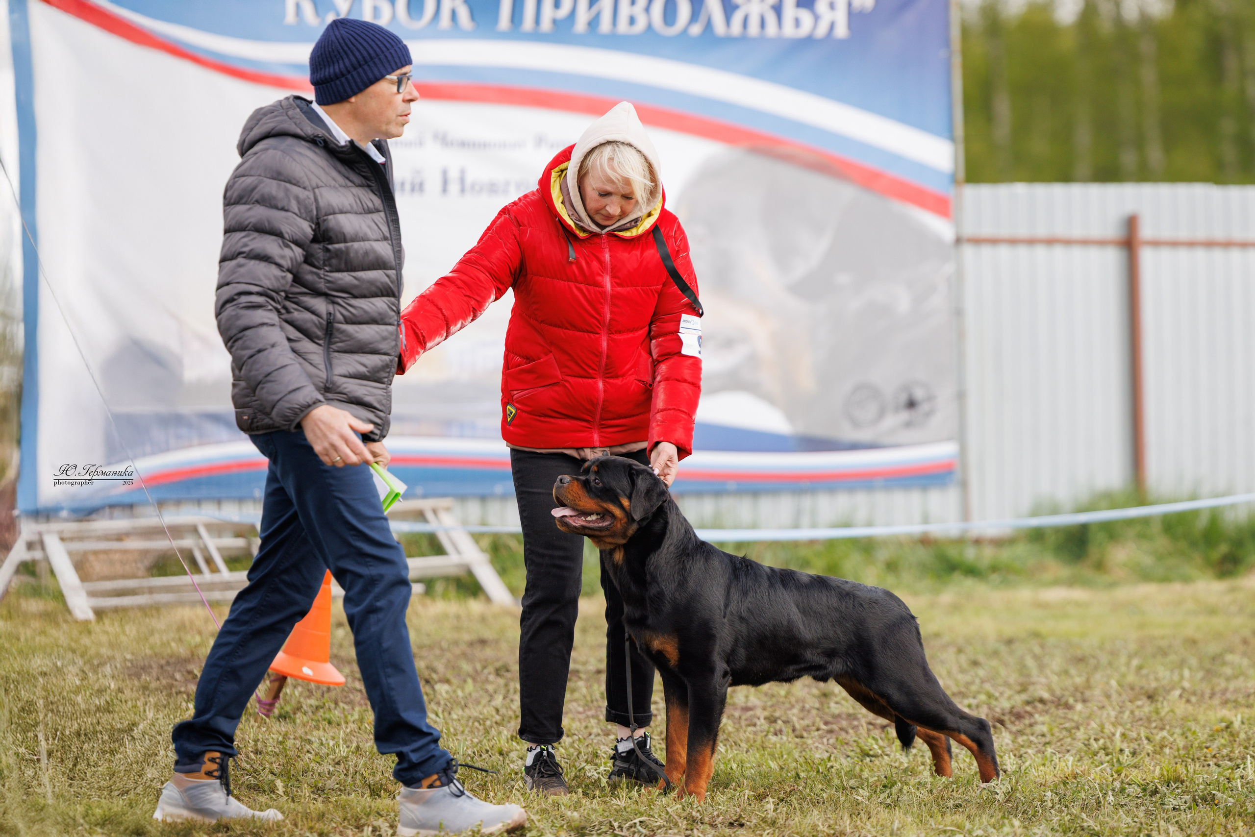 Нижний Новгород 2хмоно ротвейлеров 10-11.05.2025. Фотограф-анималист Юлия Германика