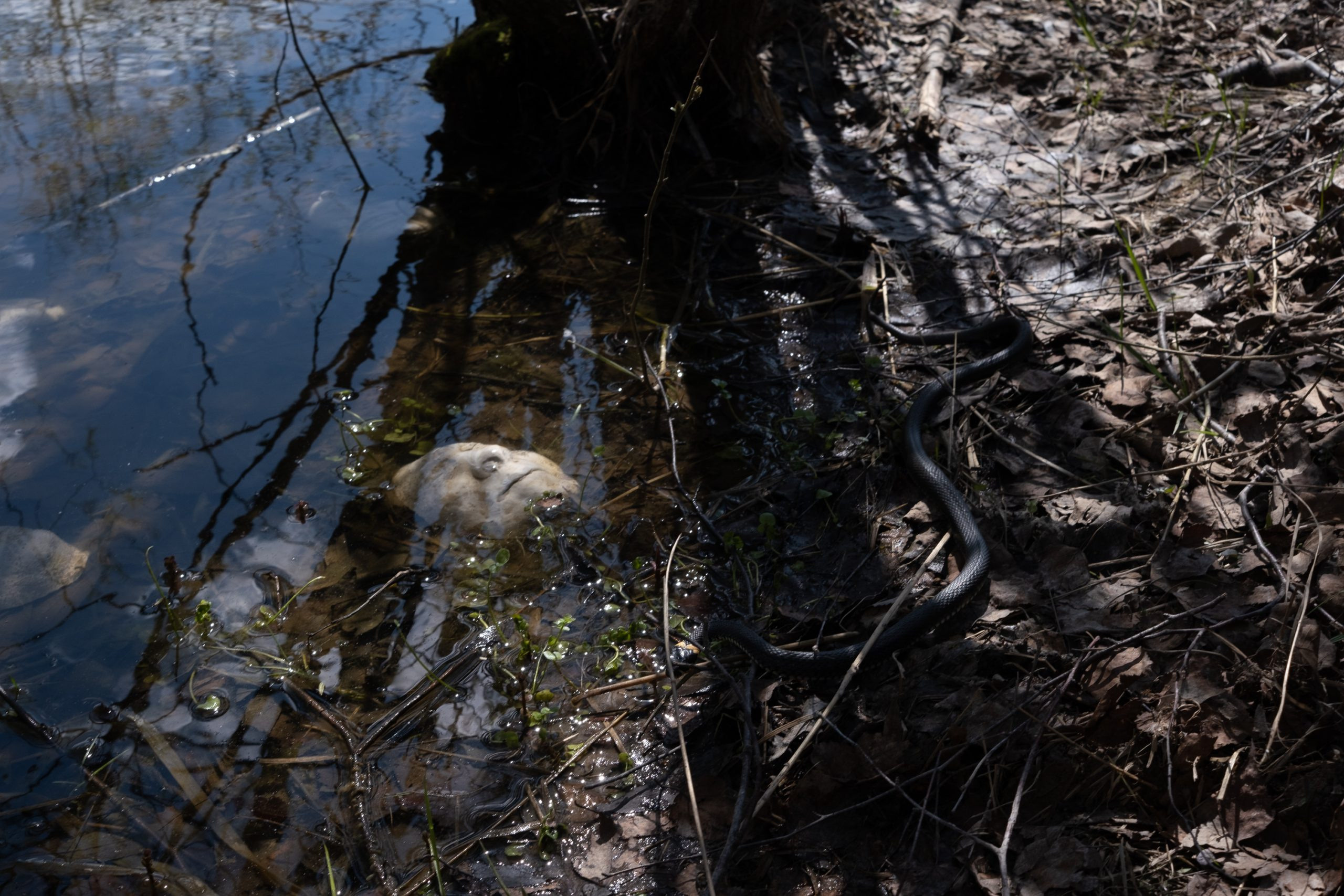 Физически смерть разрушает человека, но идея смерти спасает его. Евгения Кашаева
