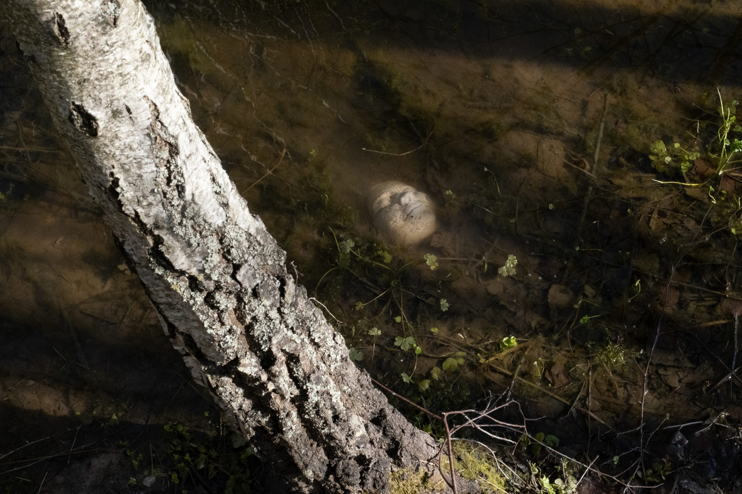 Физически смерть разрушает человека, но идея смерти спасает его. Евгения Кашаева