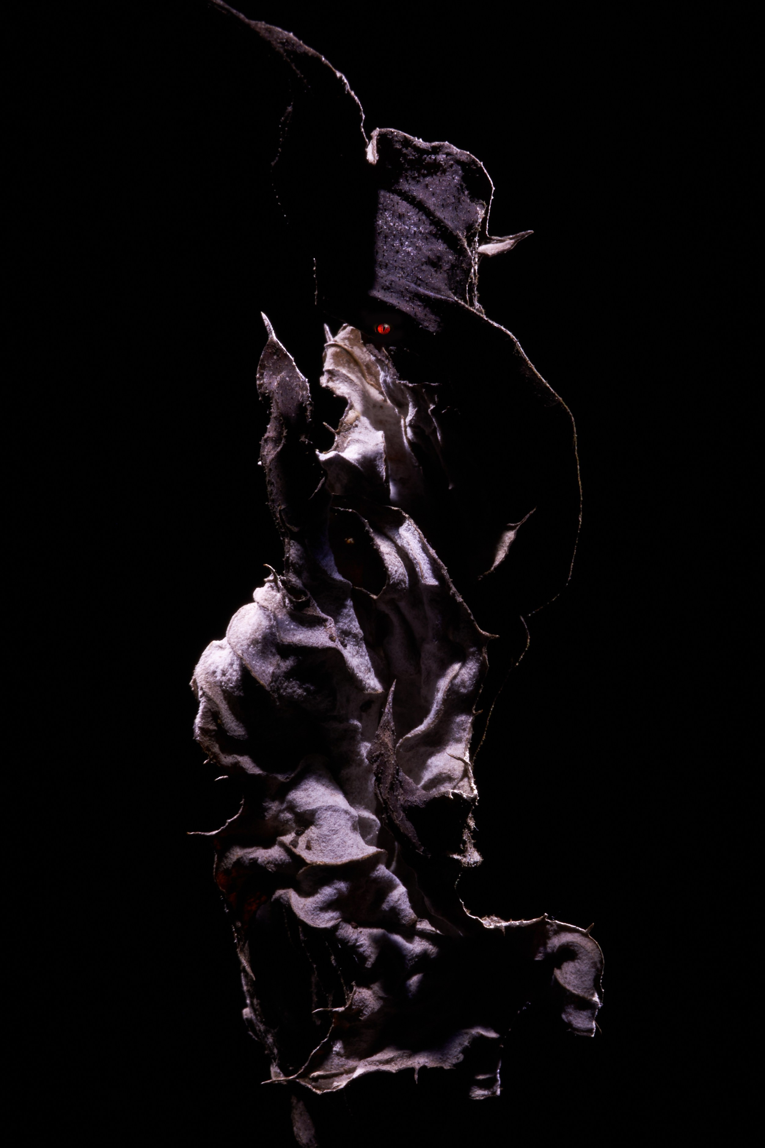 Милые Монстры или Тёмная Сторона. Репортажный Фотограф во Владивостоке и России Осипчук Дмитрий