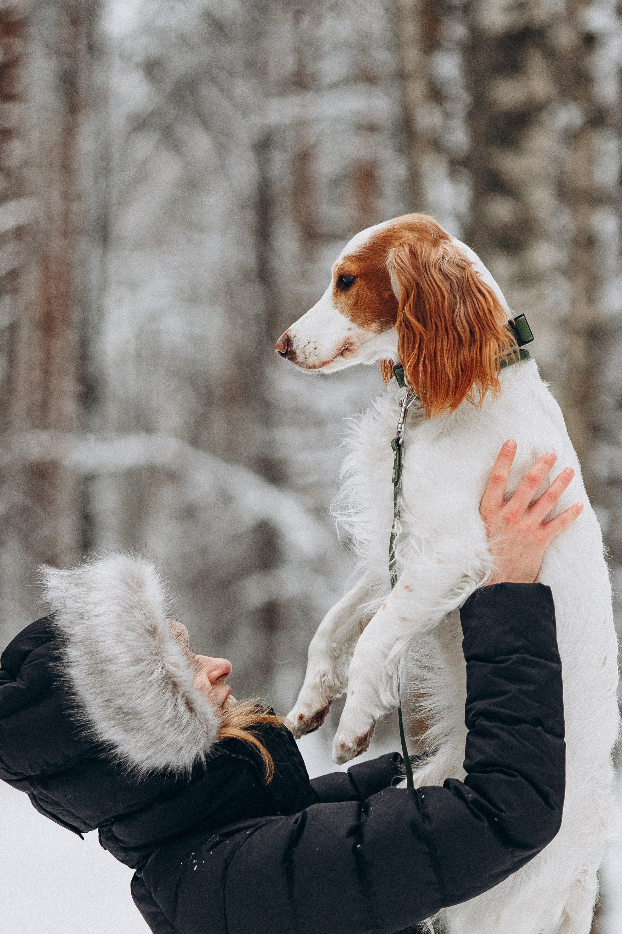 Амуниция «Бобик» 2. Фотораф — анималист Мария Шистка