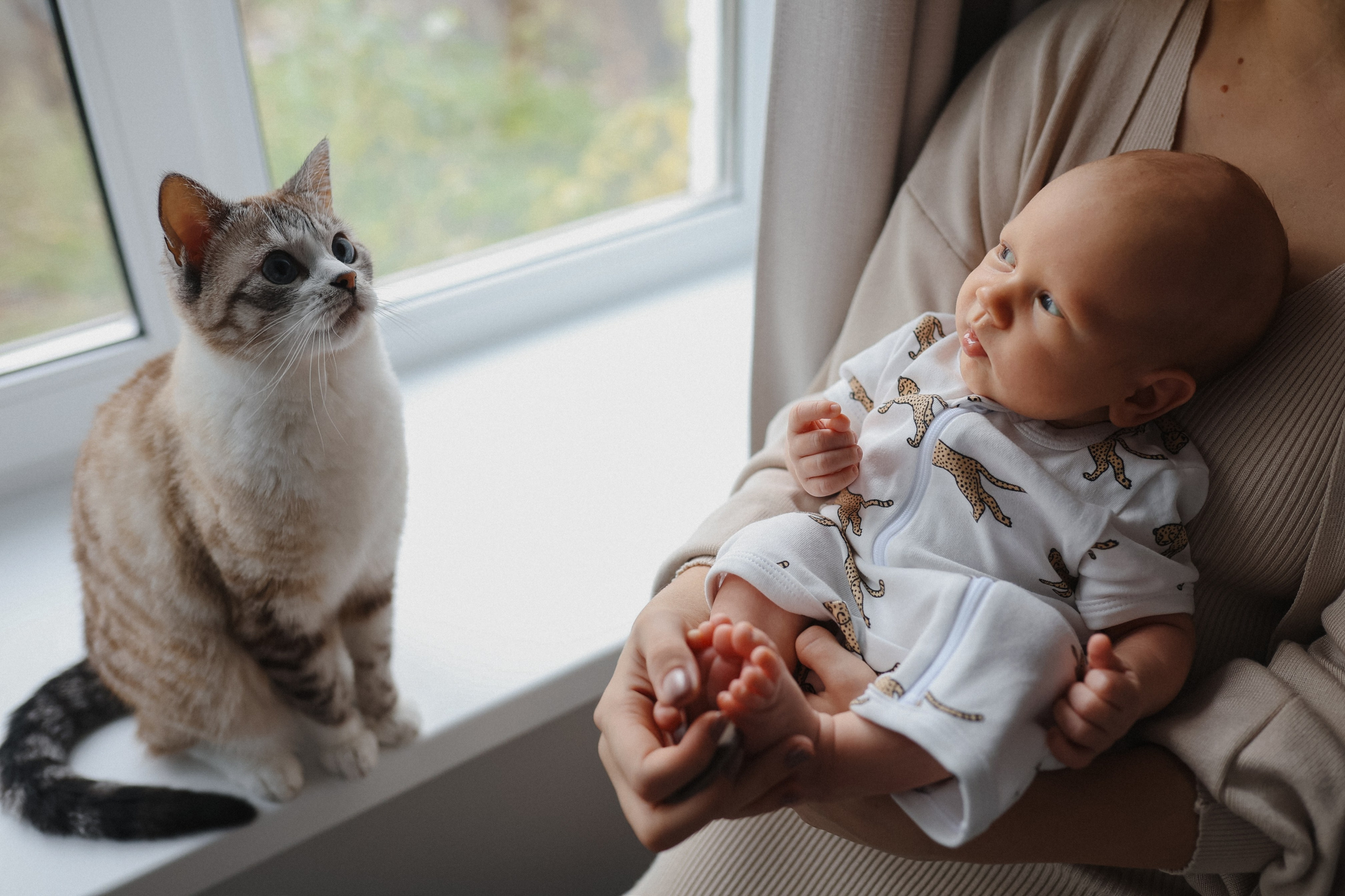 Лев🤎. Фотограф на роды в Санкт-Петербурге, семейный, нью-борн Алиса Хрекова