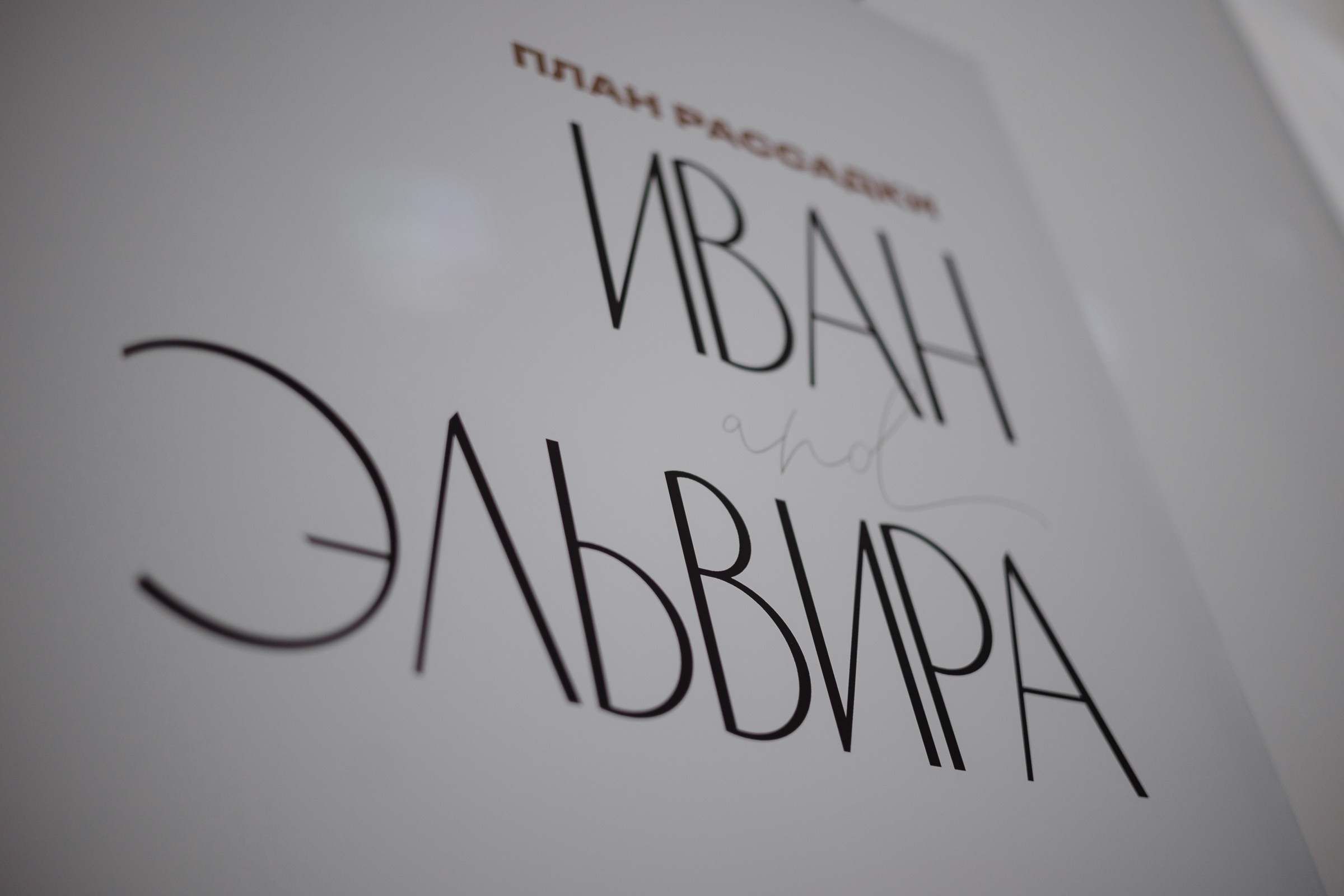 Эльвира и Иван. Свадебное агентство «Всё Серьёзно»