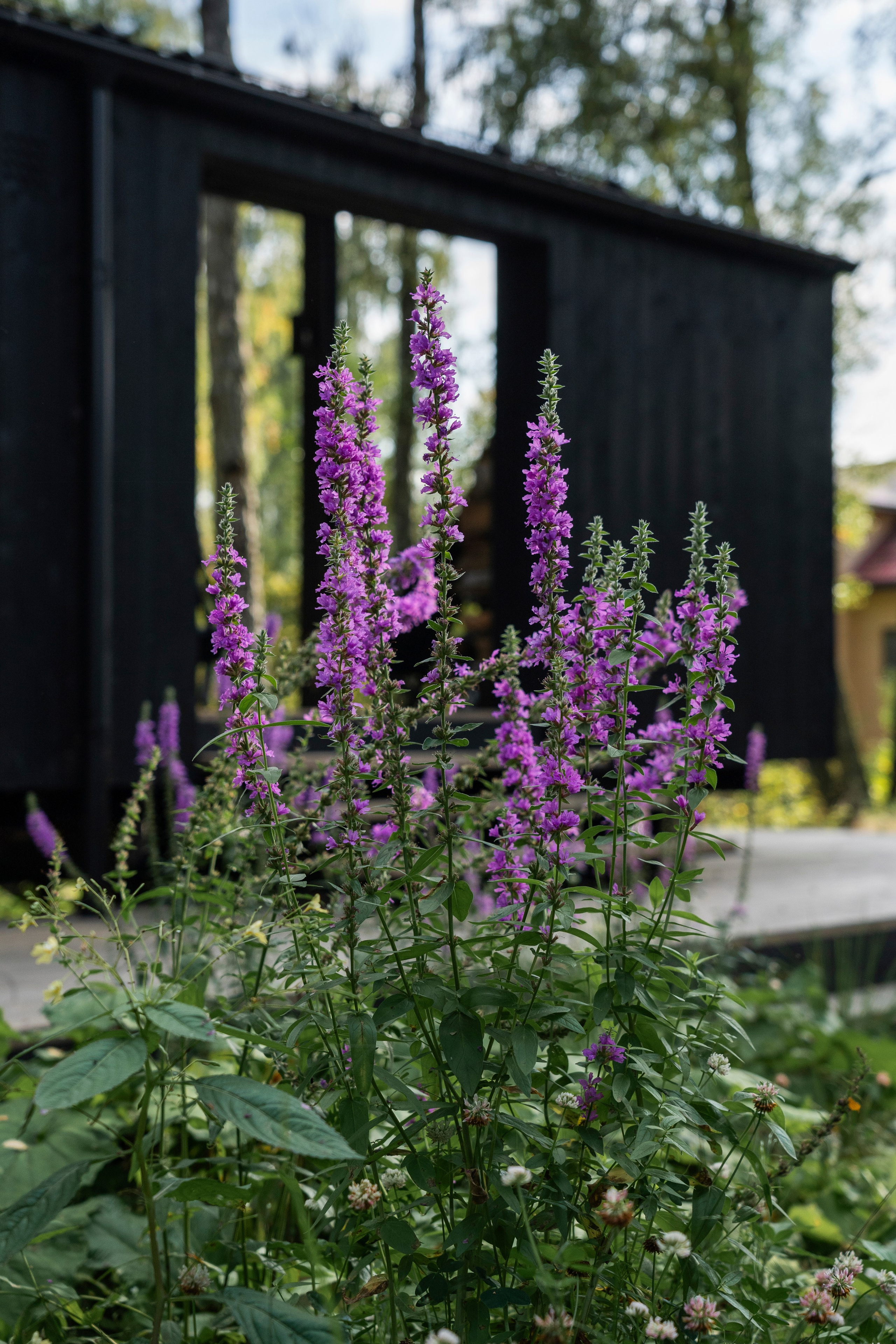 DublDom. Артамонов Александр | Архитектурный и ландшафтный фотограф