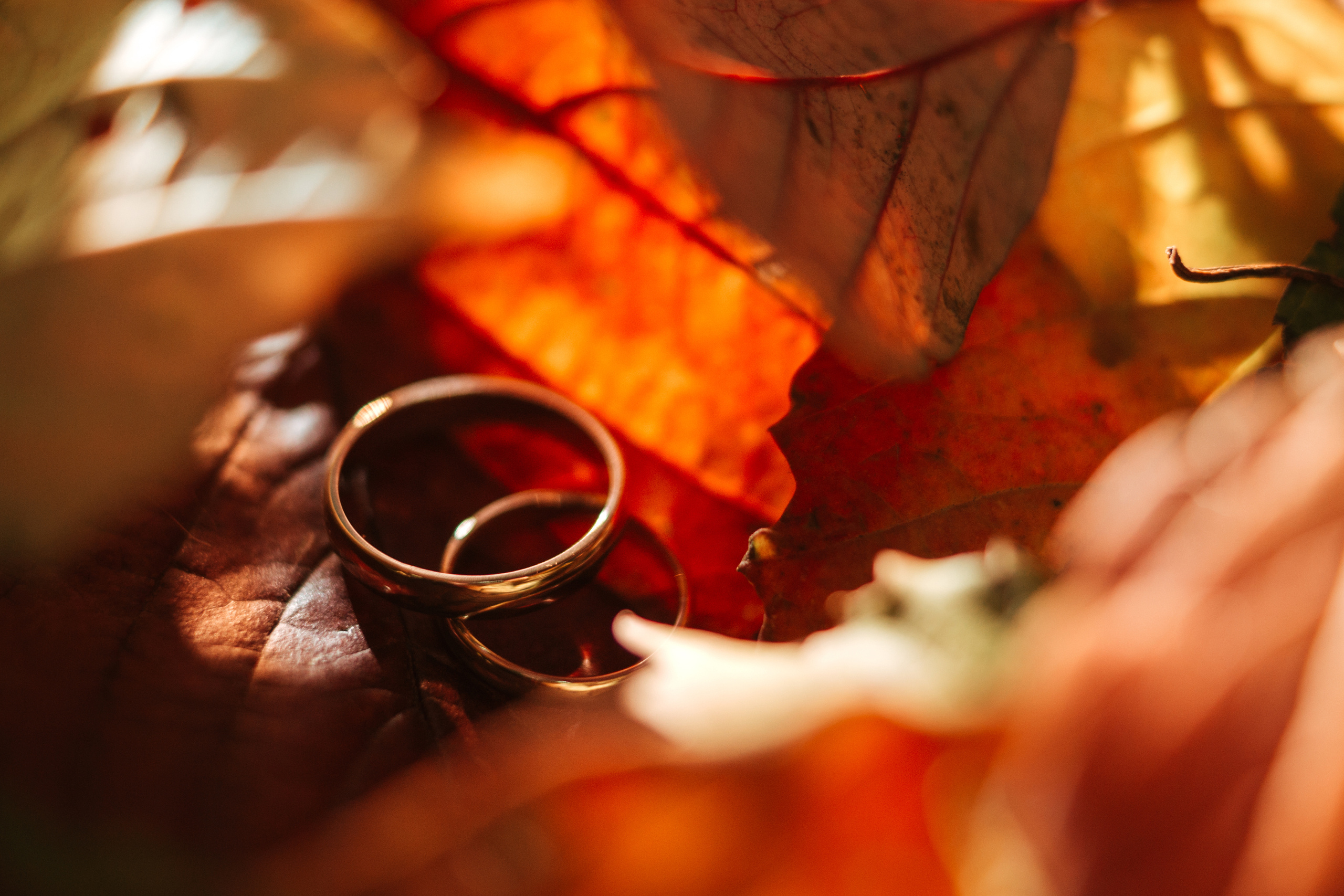 Сергей Лазаренко. Портфолио. Свадьбы & Love story. Wedding & portrait photographer Sergey Lazarenko