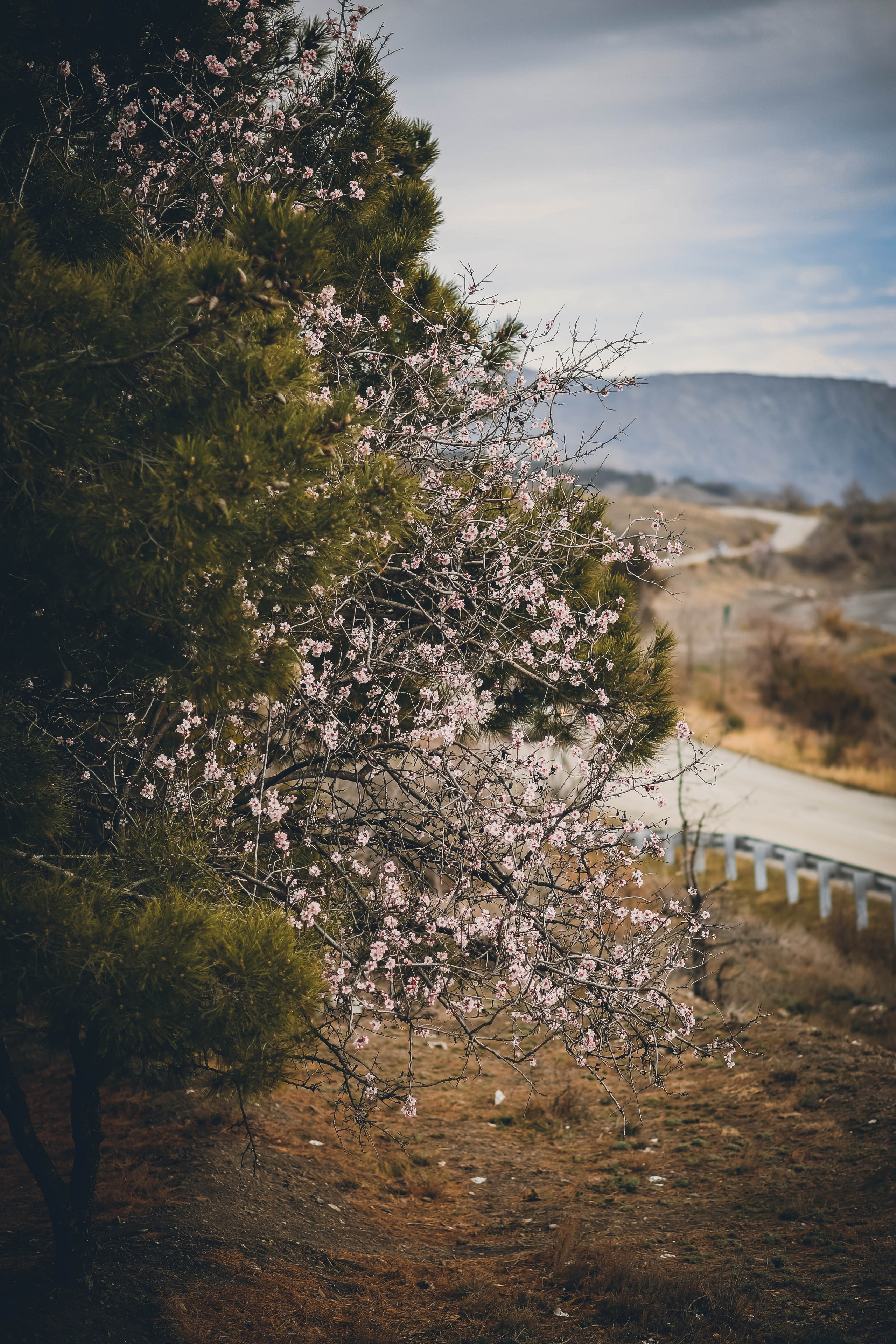 Крым. Фотограф в г. Сургуте Марина Киприна