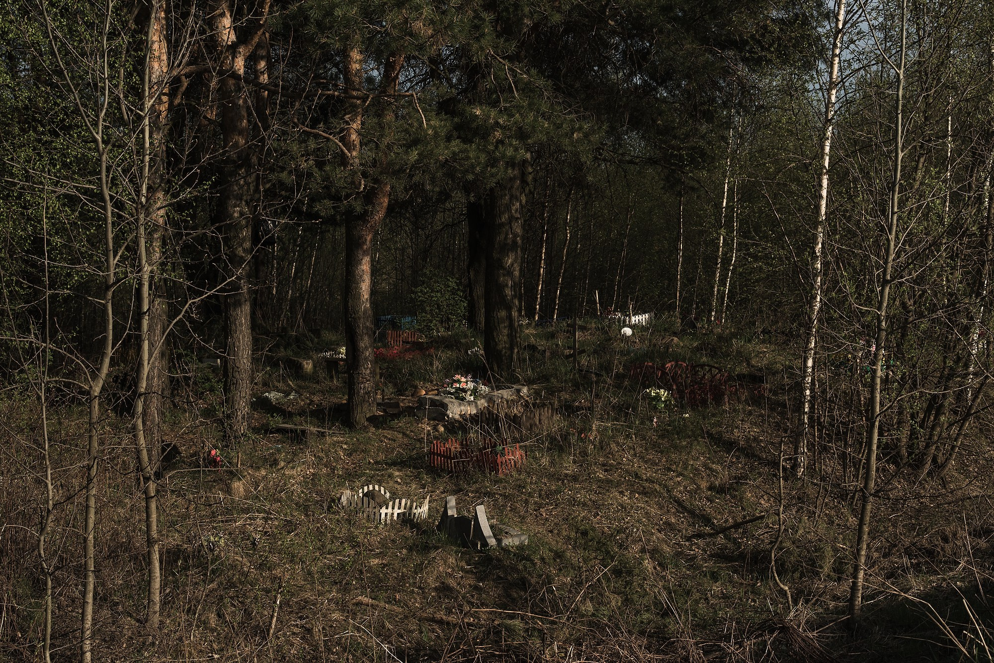 Кладбище домашних животных. Промышленная и репортажная фотография
