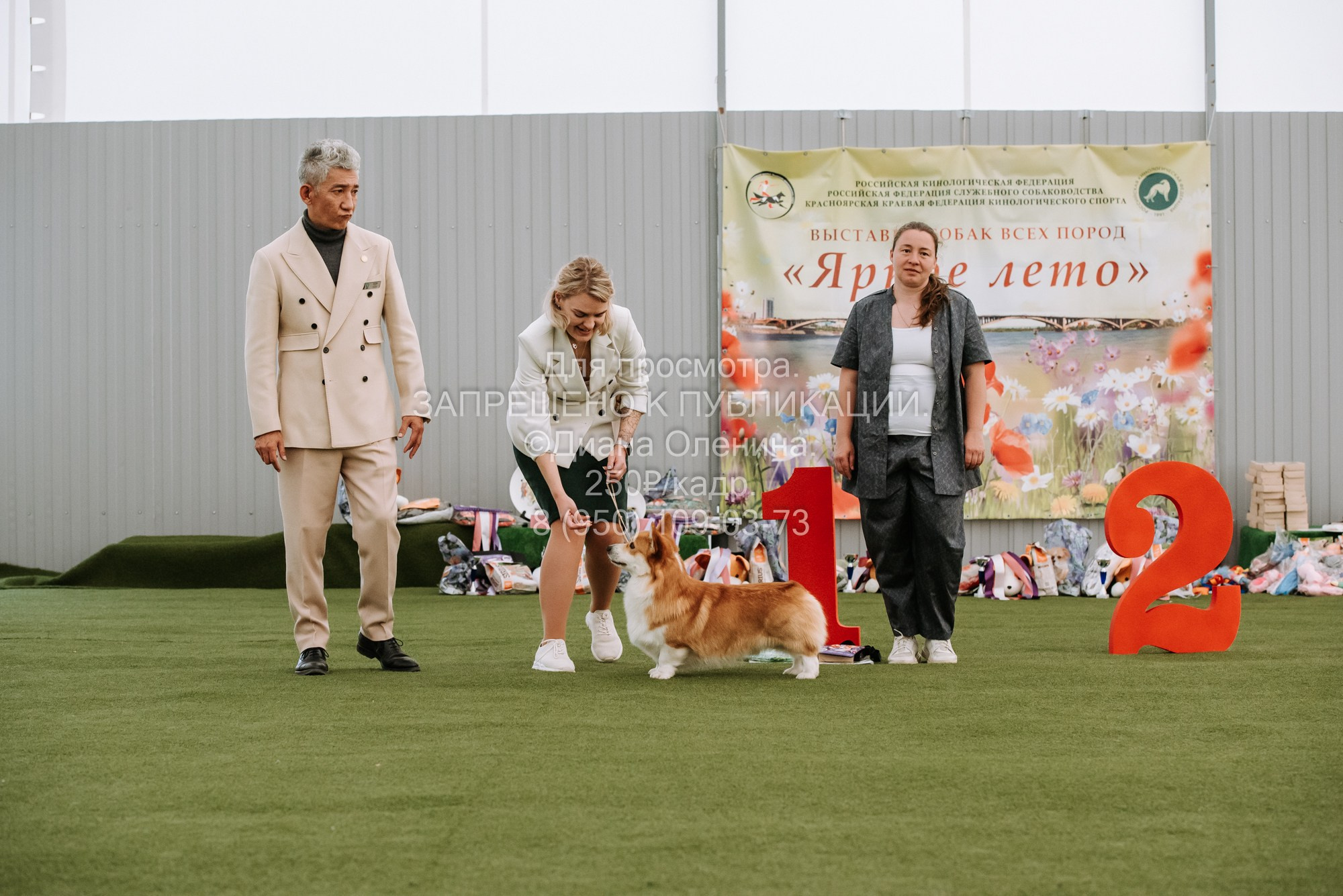 Выставка собак Красноярск 2.06. Фотограф Диана Оленина Красноярск / Братск