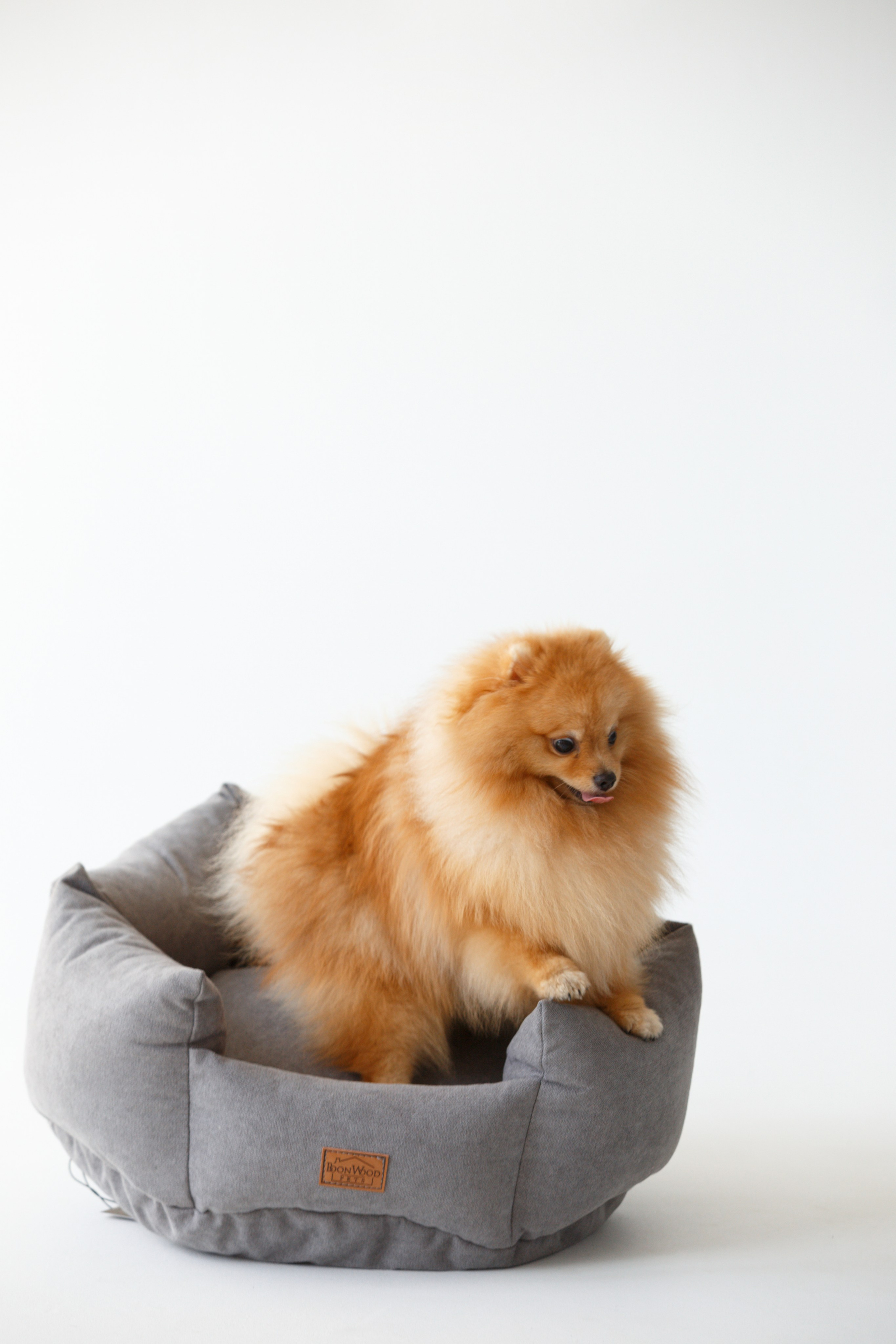 Boonwood Pets лежанки для животных. Фотограф анималист Кристина Карпова, Москва