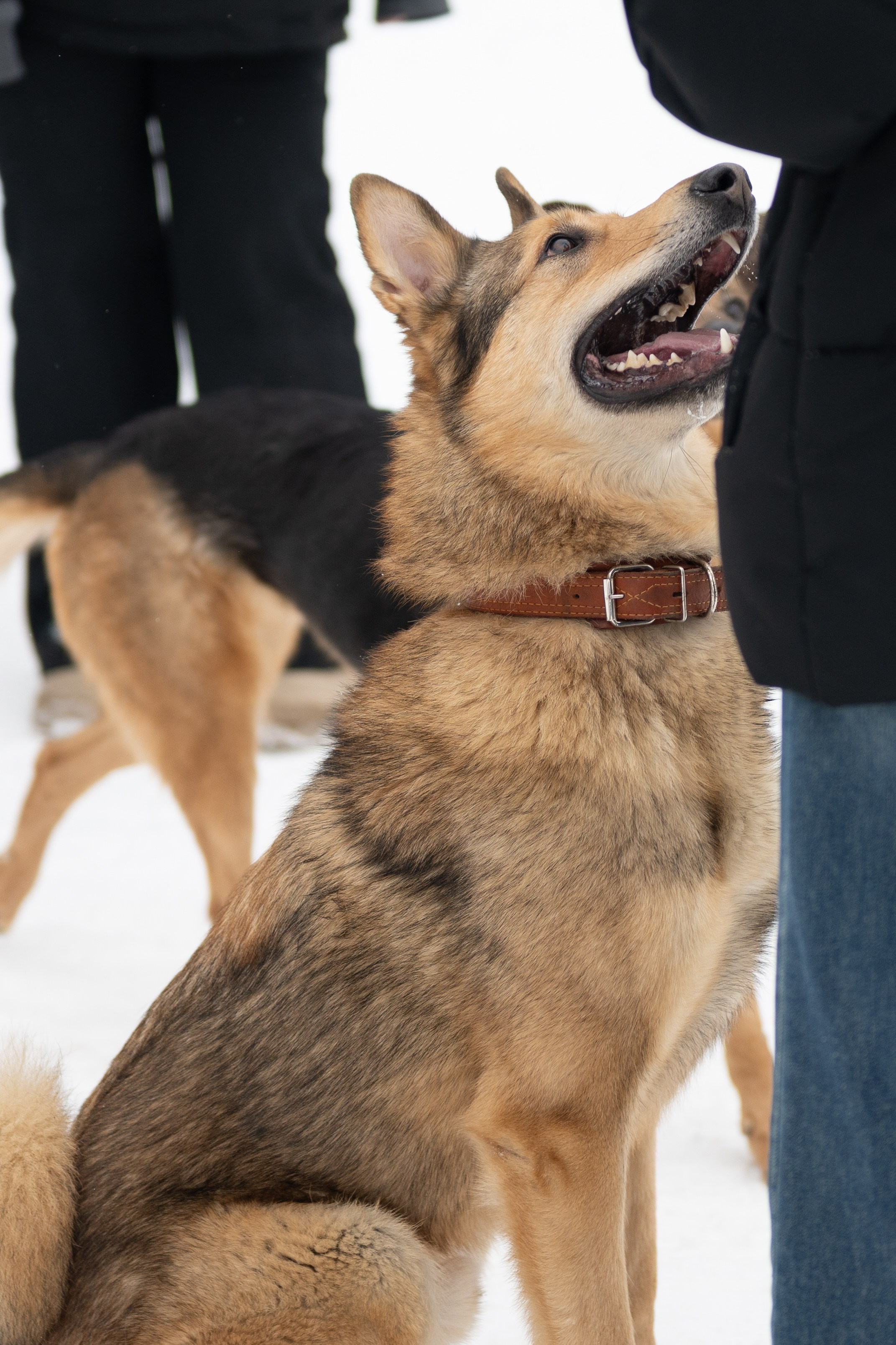 Приют «Искра». Фотограф и видеограф в Москве Анна Матюхина