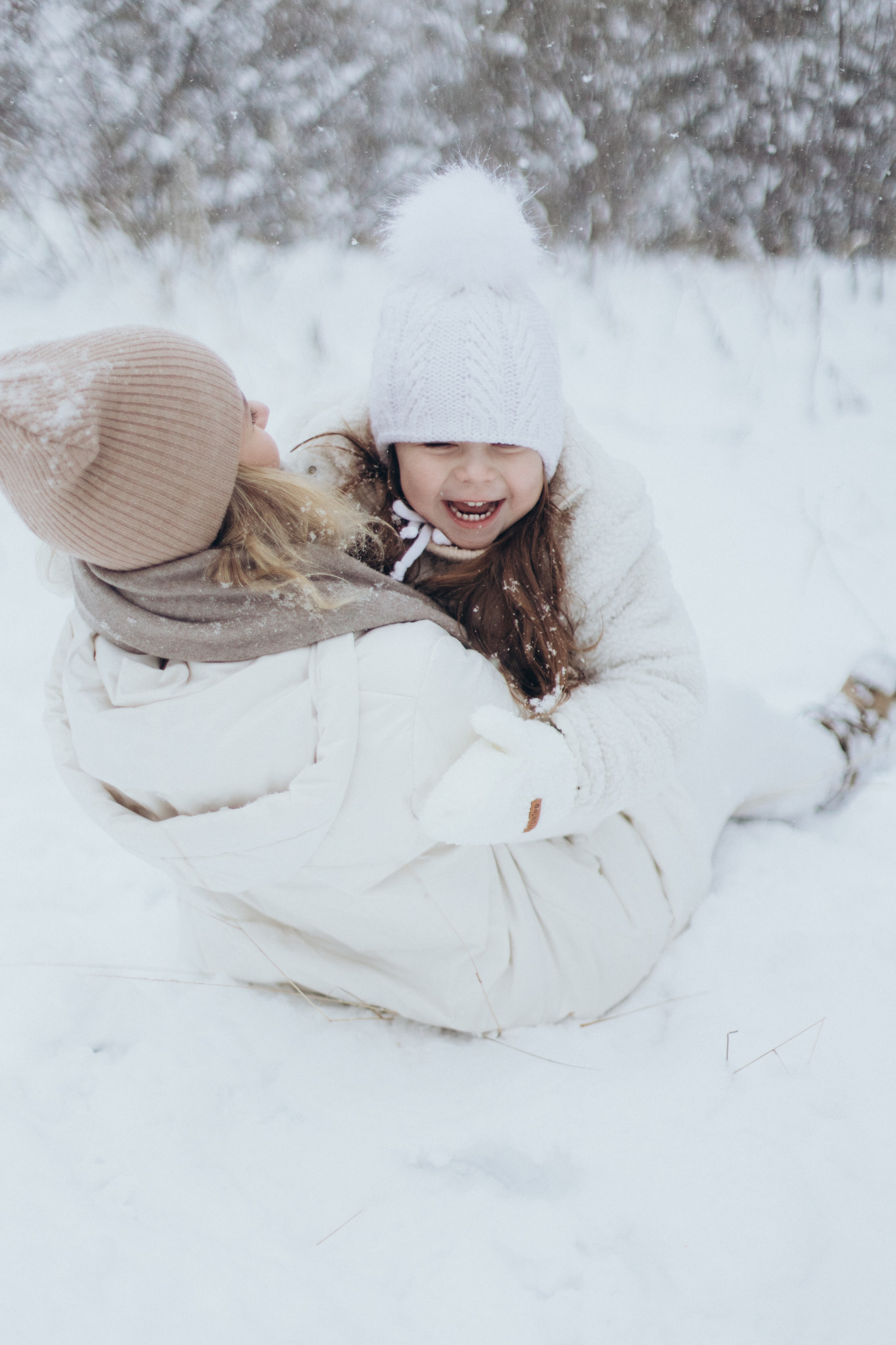 Зимняя история