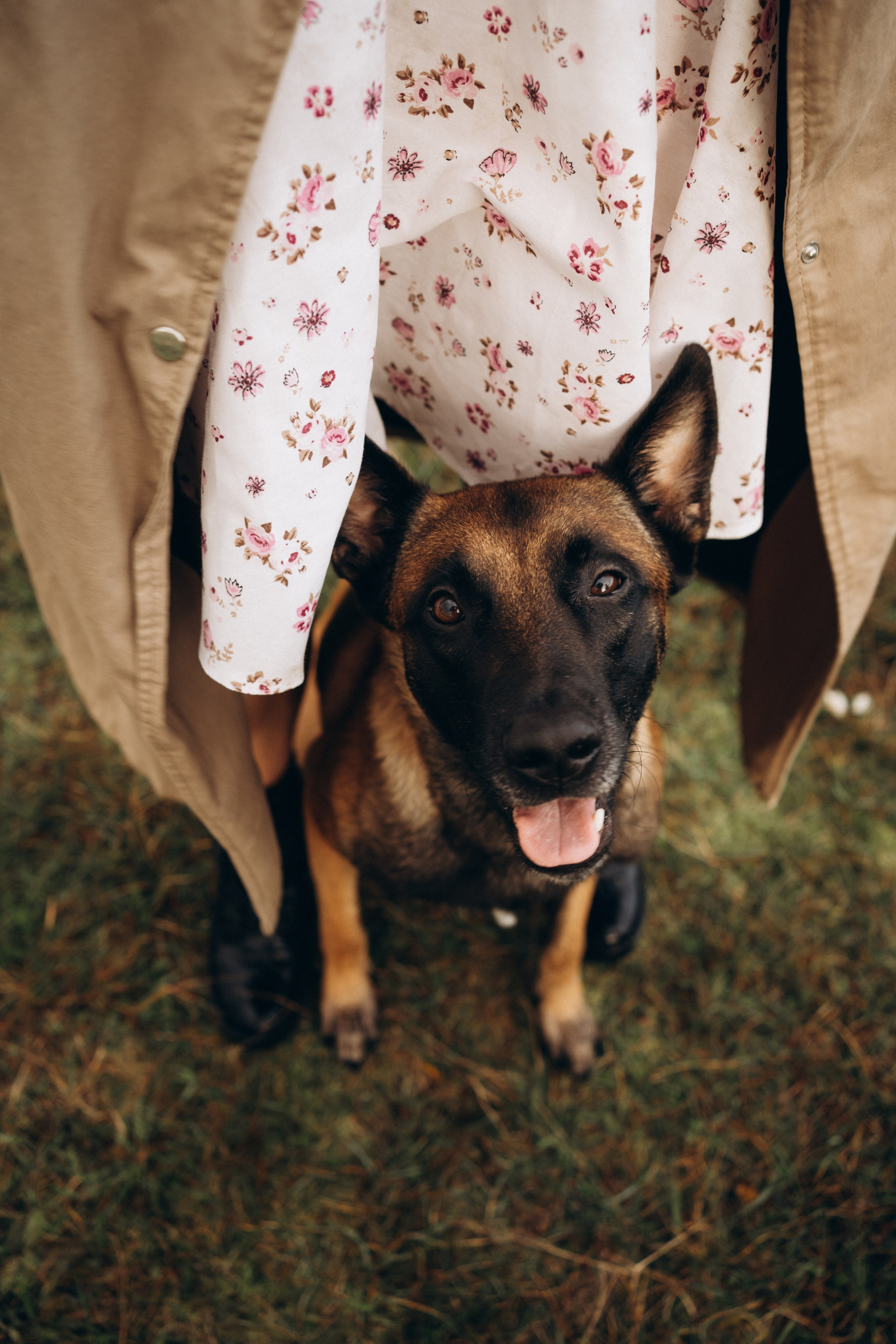 Вика и Хельс. Фотограф-анималист Анастасия Большакова
