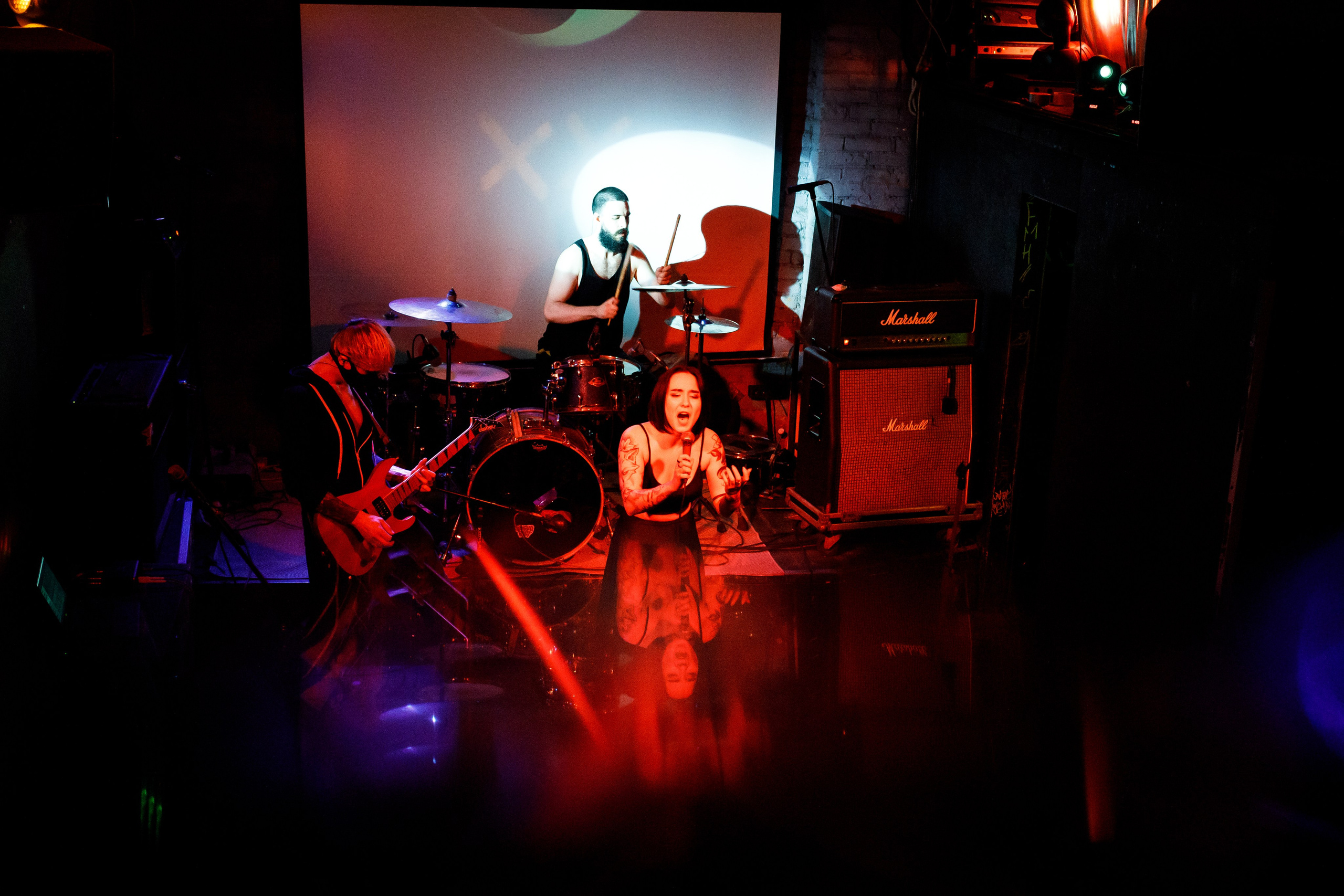 THE KAT IS DEAD. Фотограф Елена Богачева (lenalena_na_na_na)