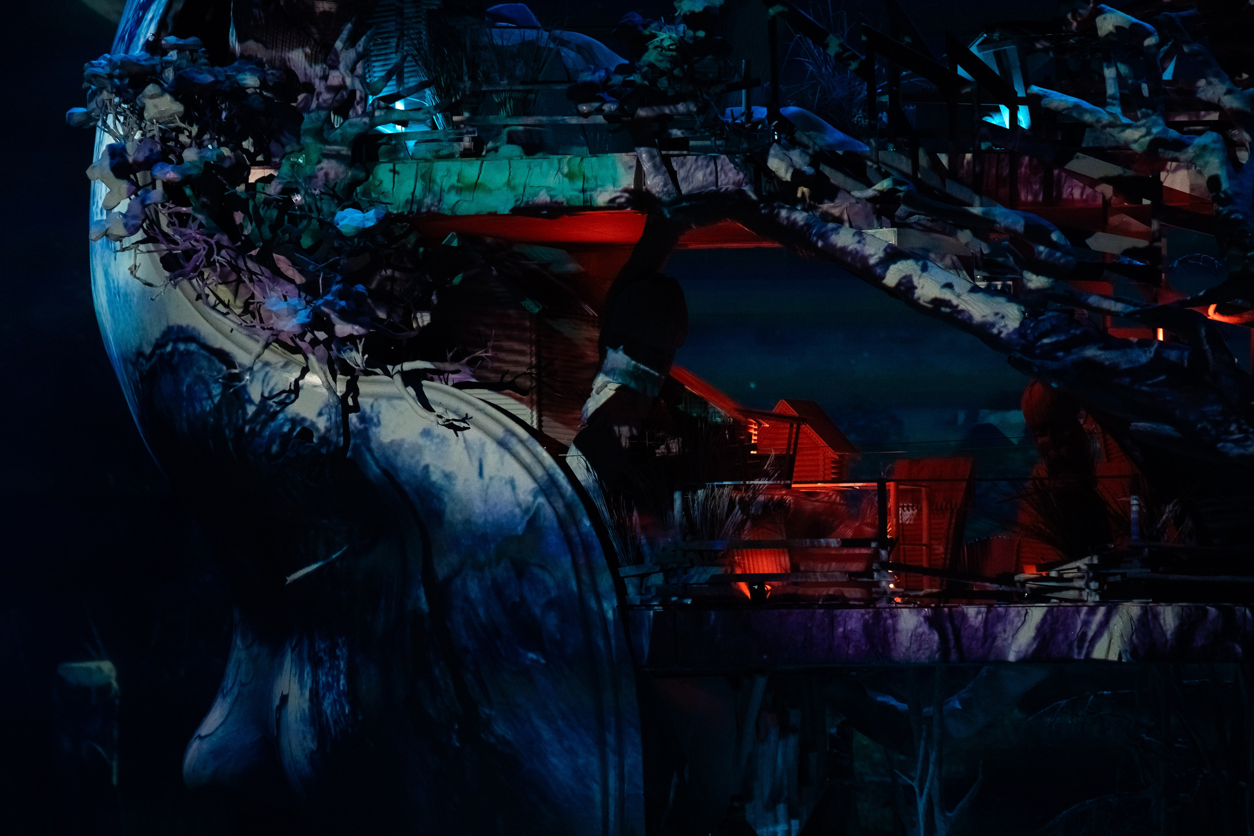 Мандрагора. Фотограф и видеограф Евгений Романов Санкт-Петербург