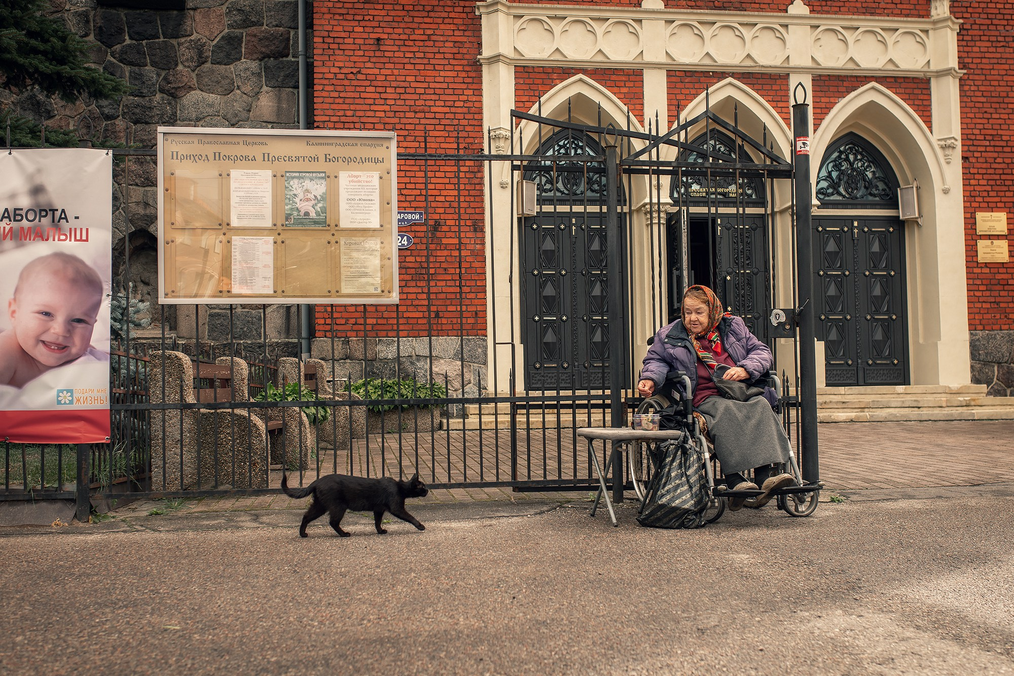 Бабушка и кот. Женский фотограф Крещение Венчание Москва Брянск