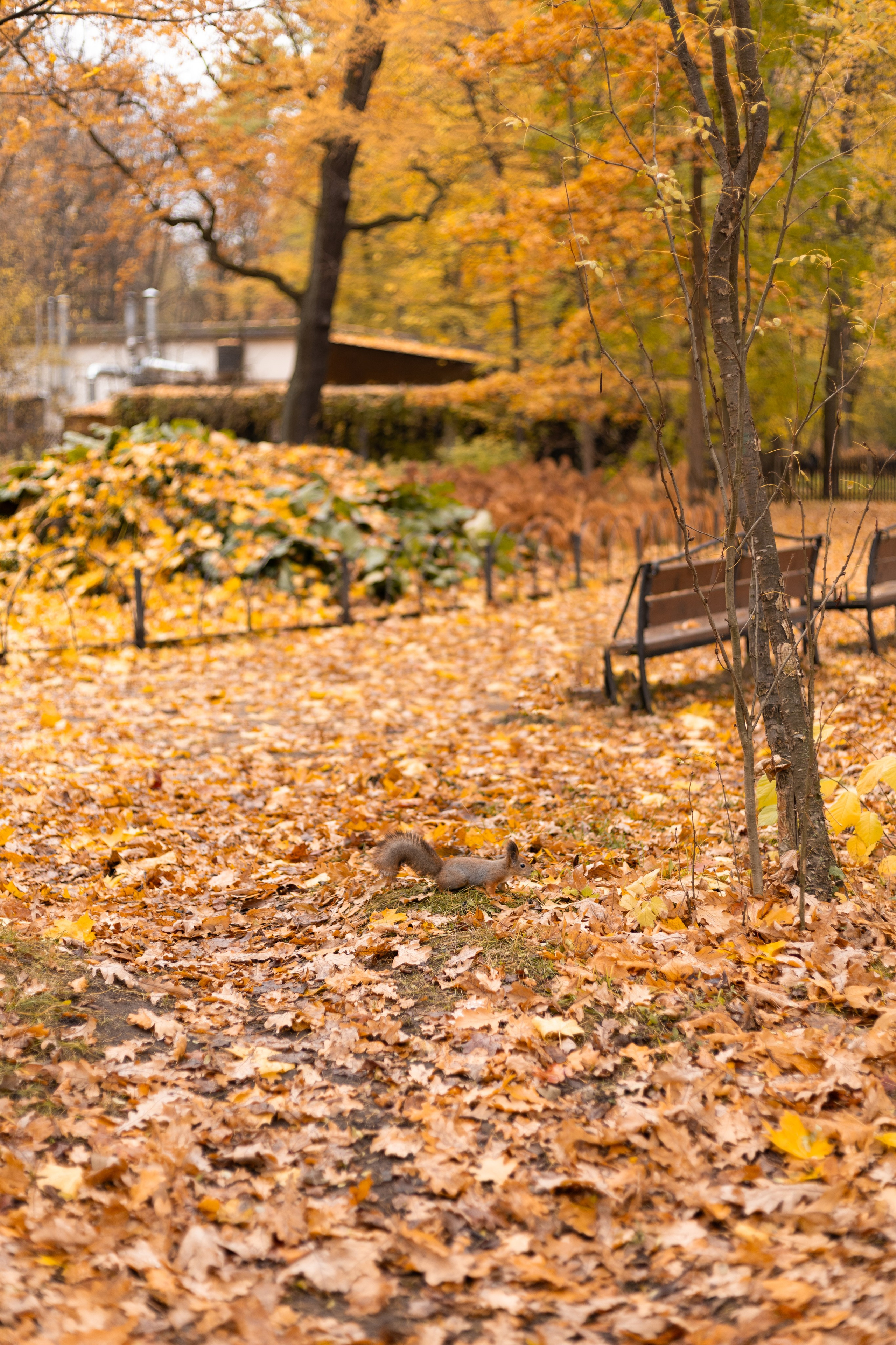 Катя и Карен. Фотограф в Санкт-Петербурге Смирнова Диана