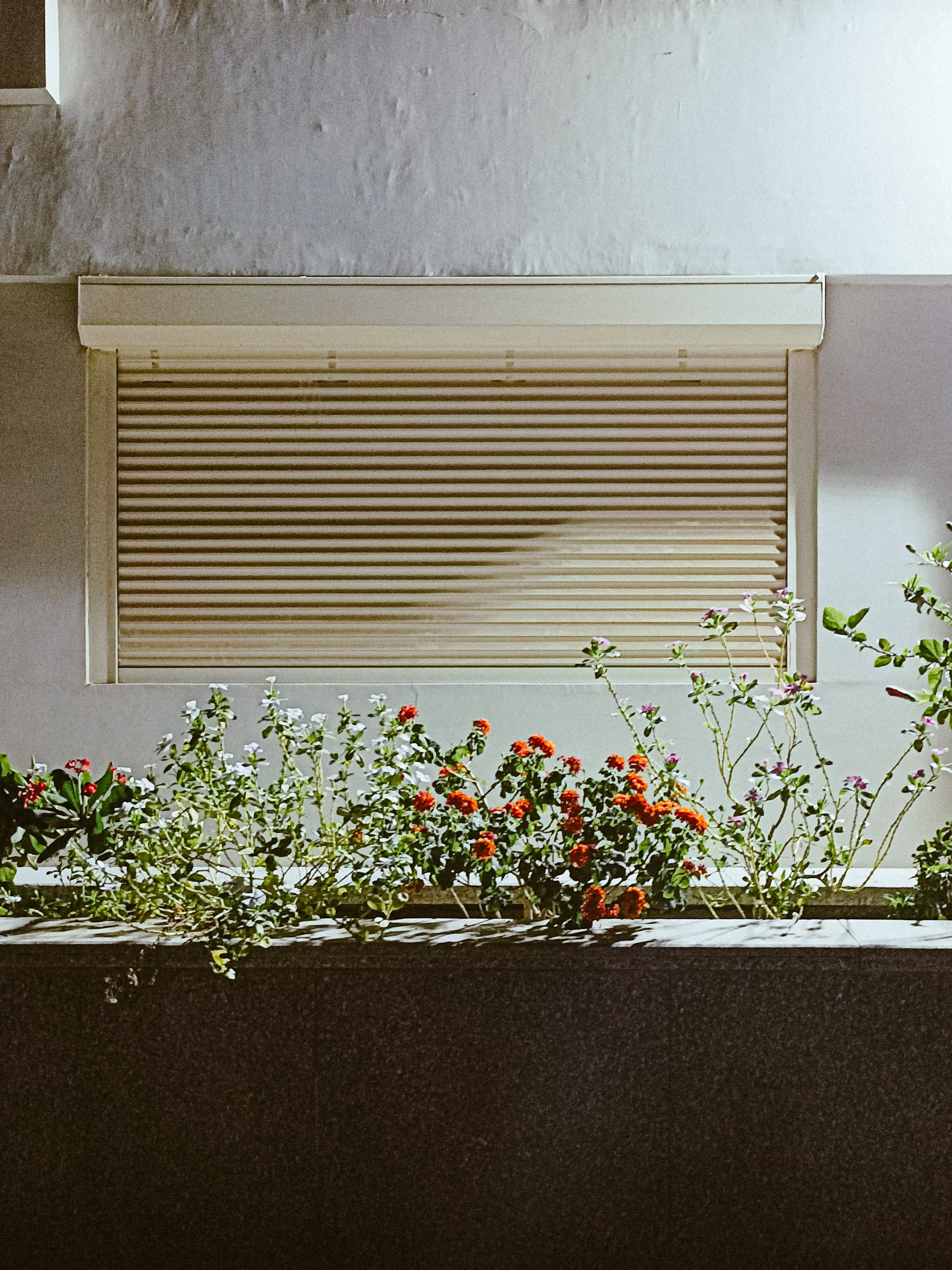 Мобильная. Jorgis — фотограф в Хургаде / обучение фотографии