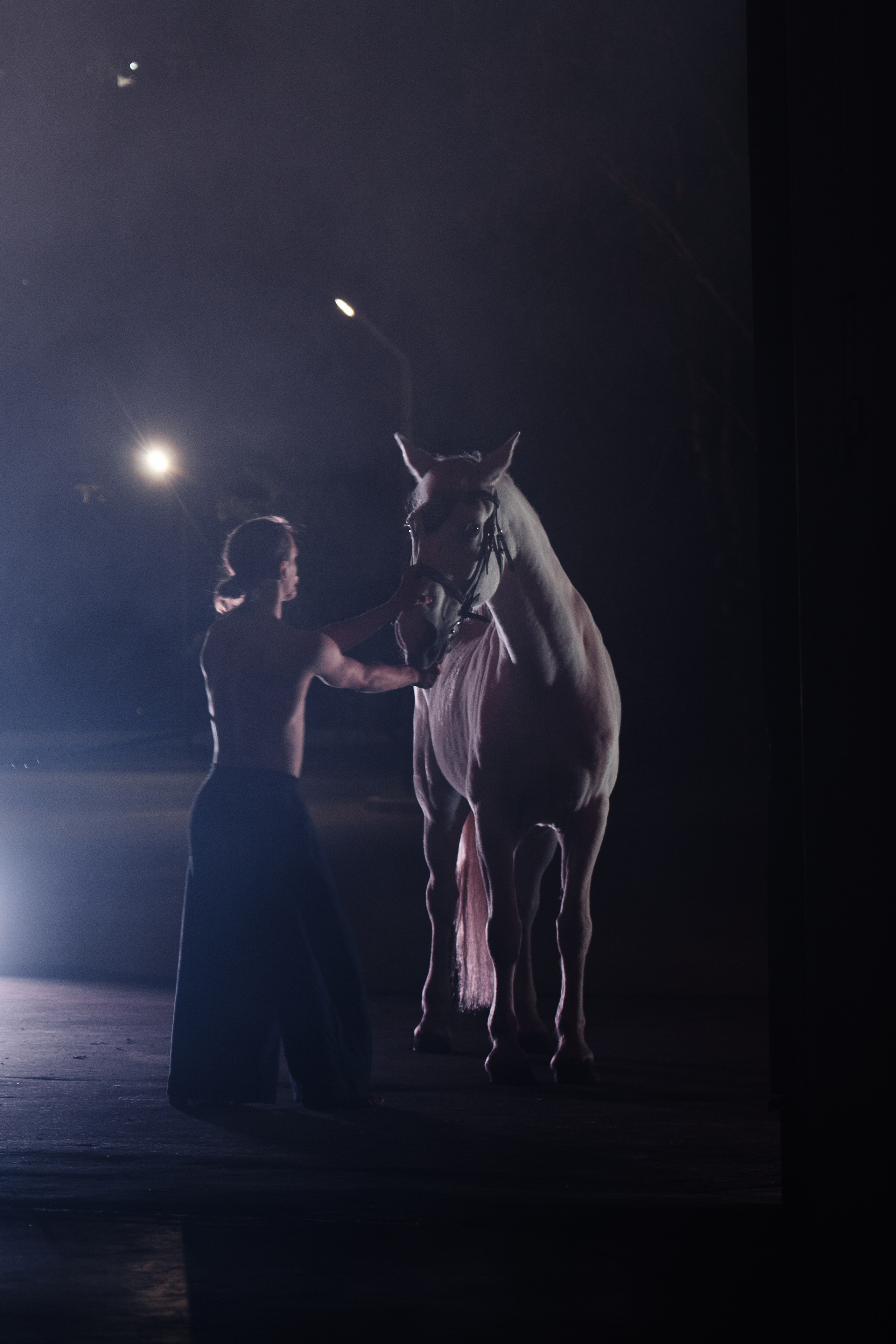 PERFORMA, The Hour of the Horse. @tomrus: Рустам Шагиморданов — фотограф