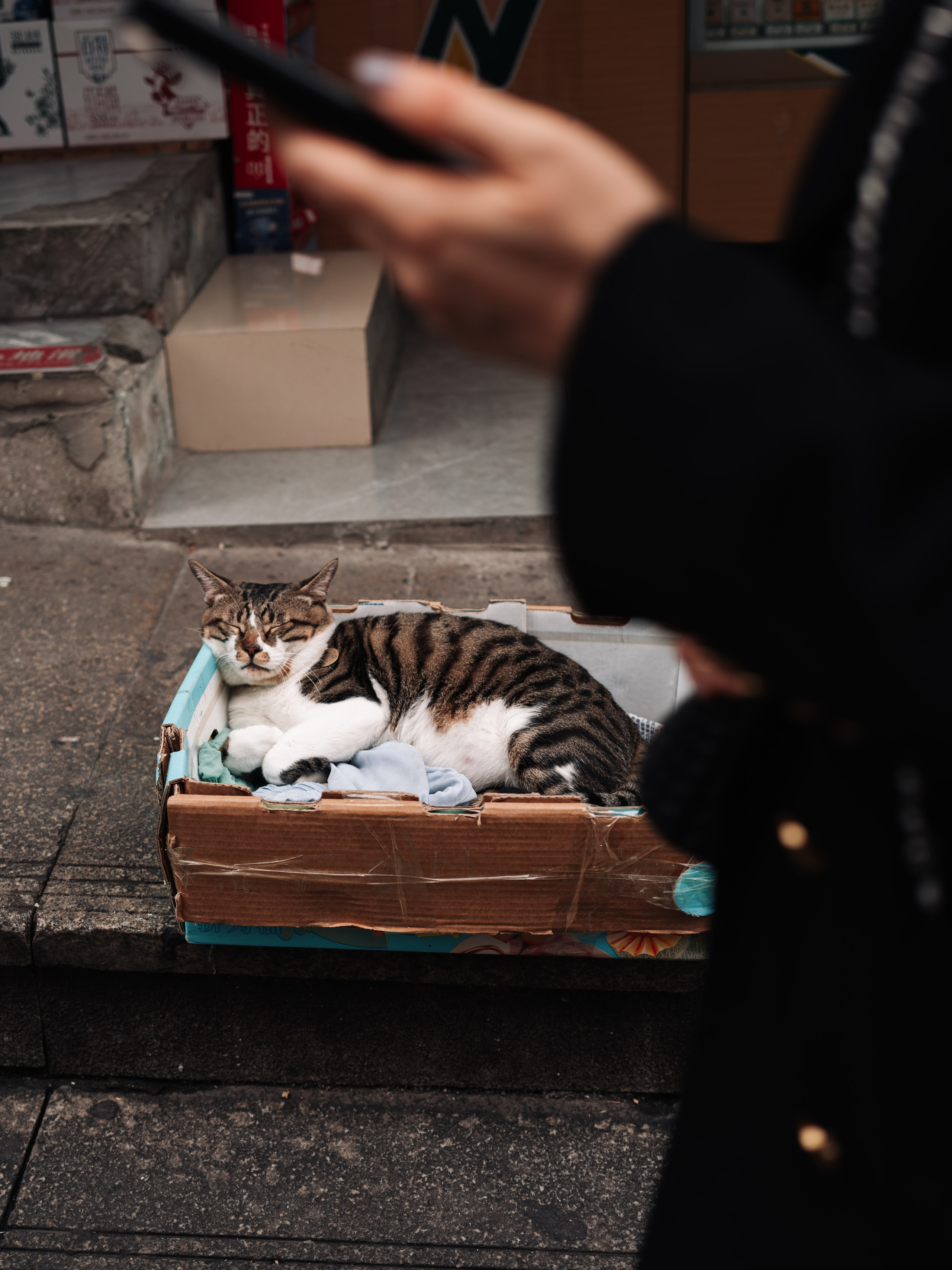 China/Китай. @tomrus: Рустам Шагиморданов — фотограф