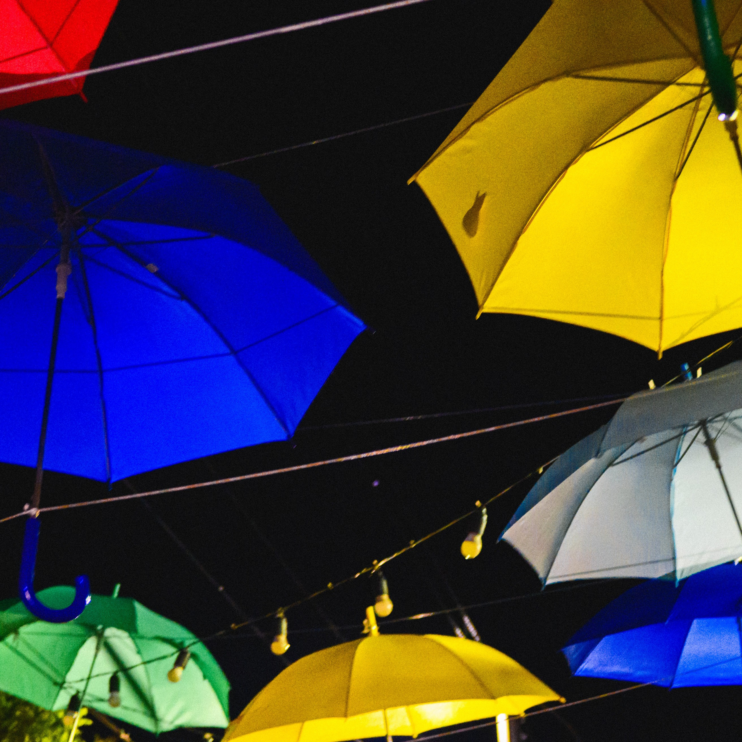 Фотодневник: в цвете. Фотограф Д. Куценков